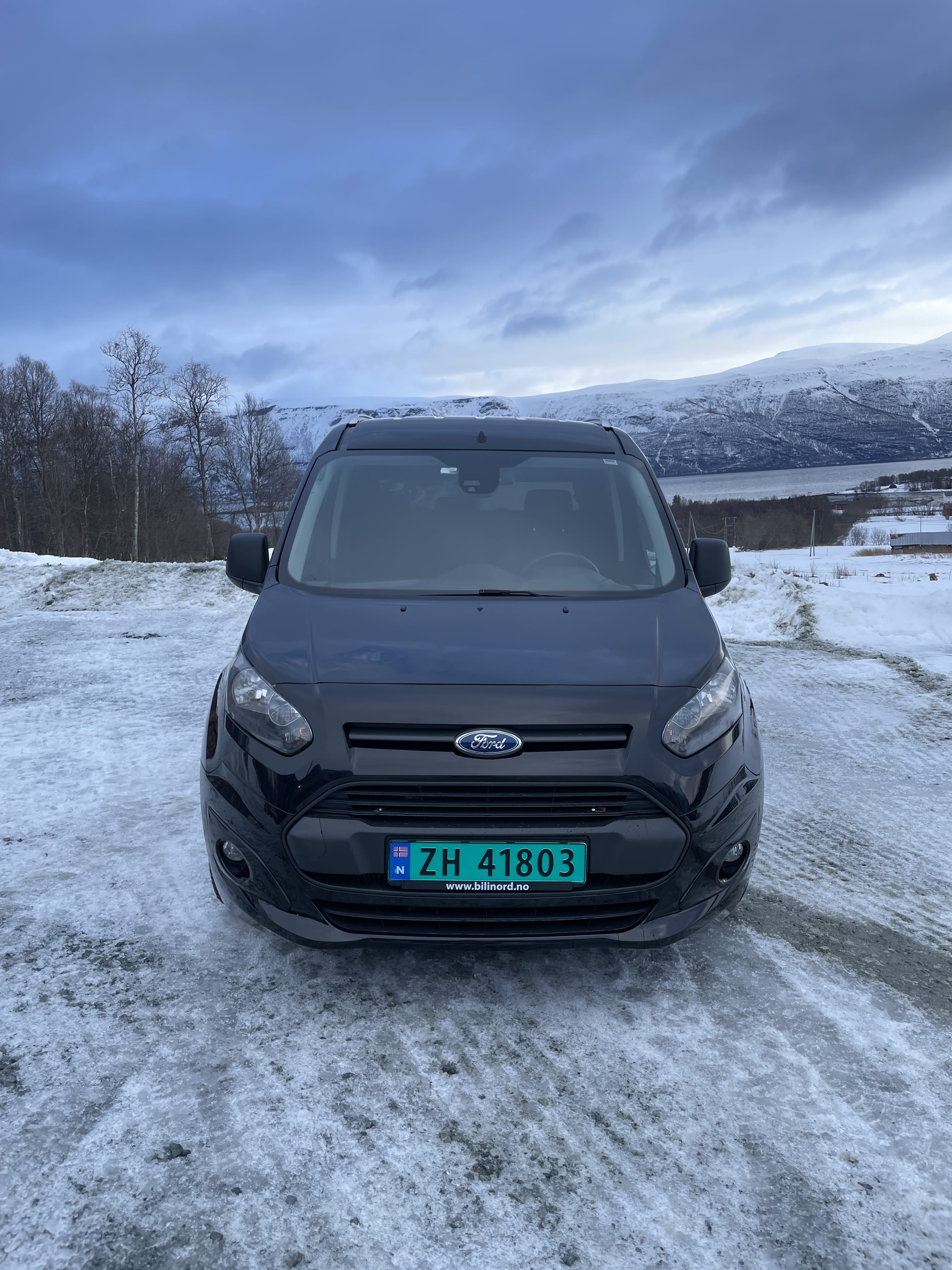 Ford Transit Connect met Dissel