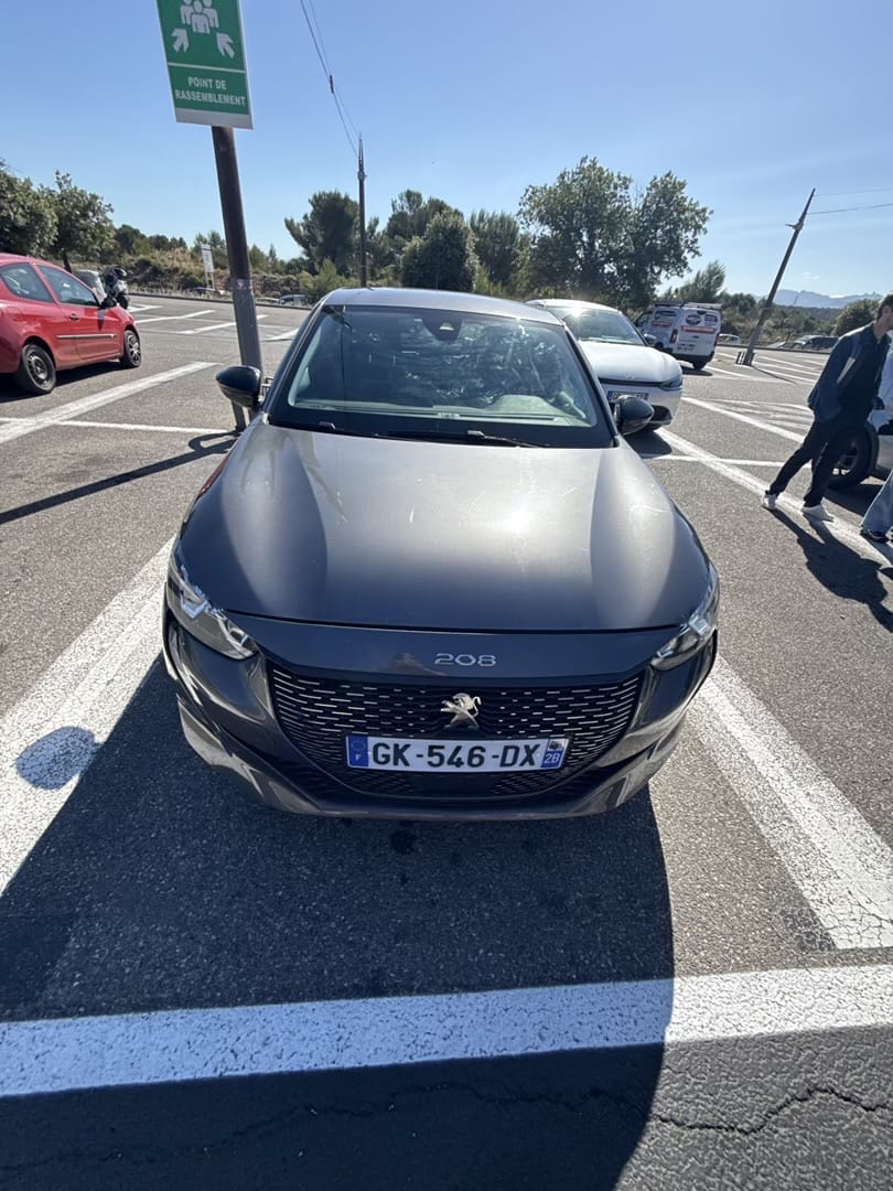 Peugeot 208 avec GPS