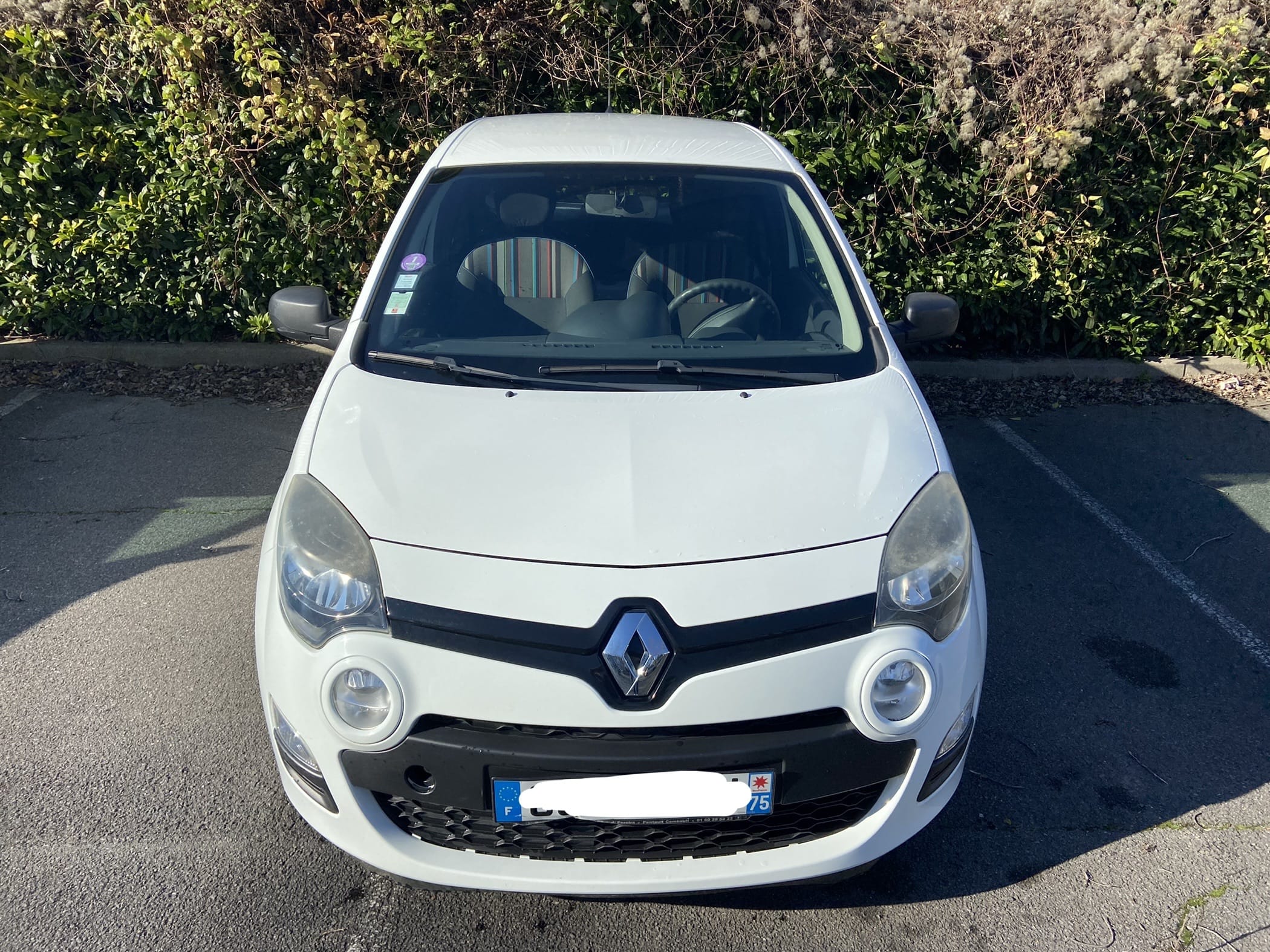 Renault Twingo Société