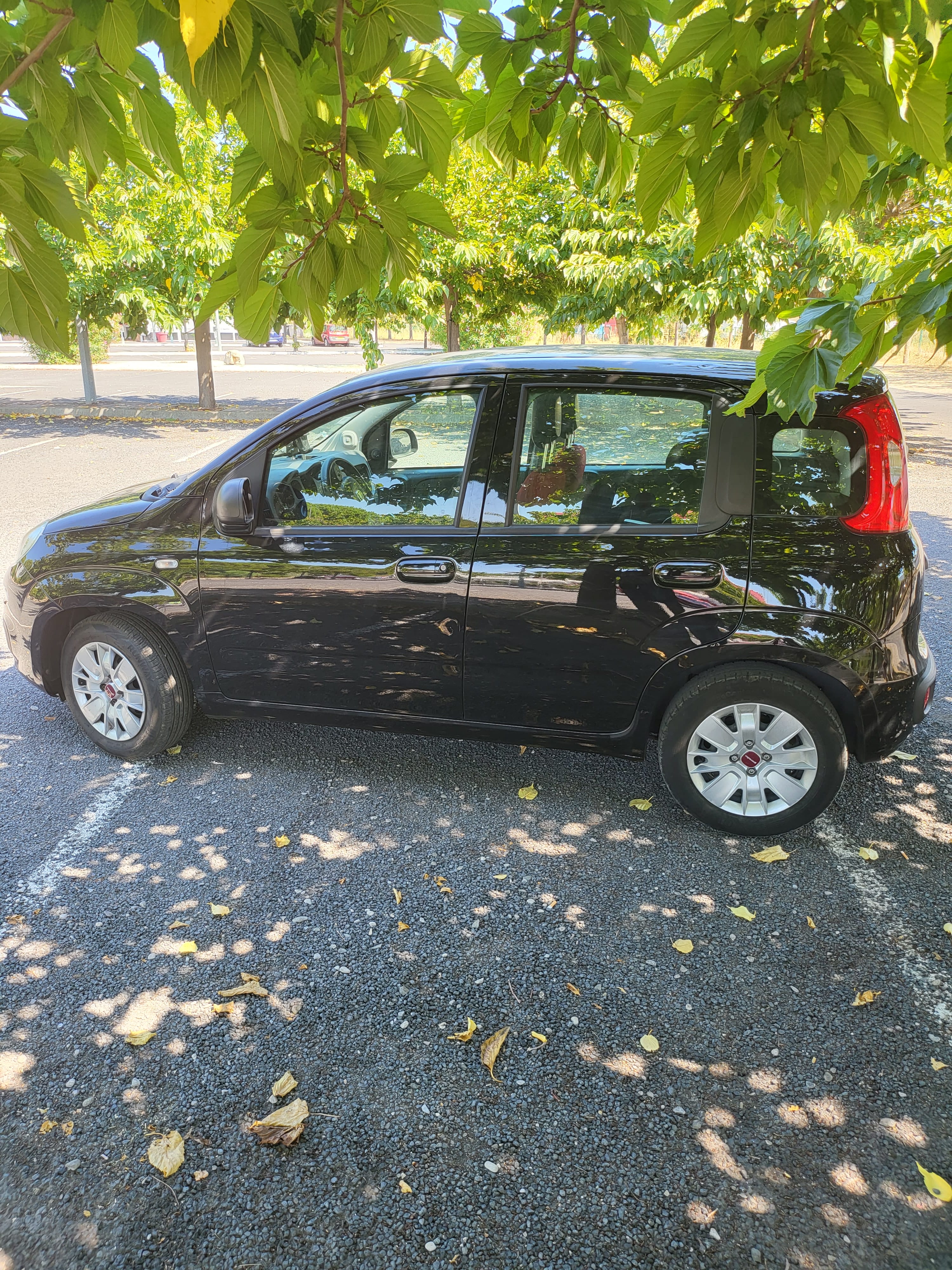 Fiat Panda avec Climatisation