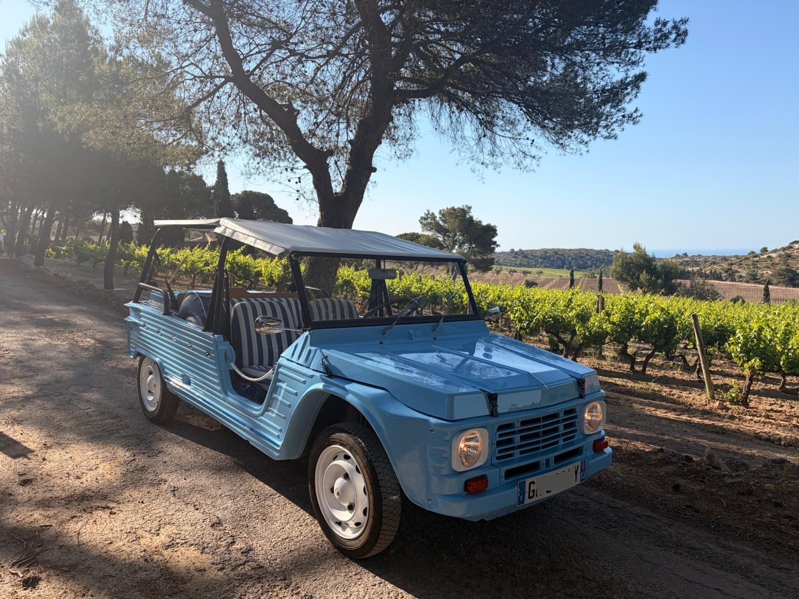 Citroen Mehari EDEN, 2022, Électrique