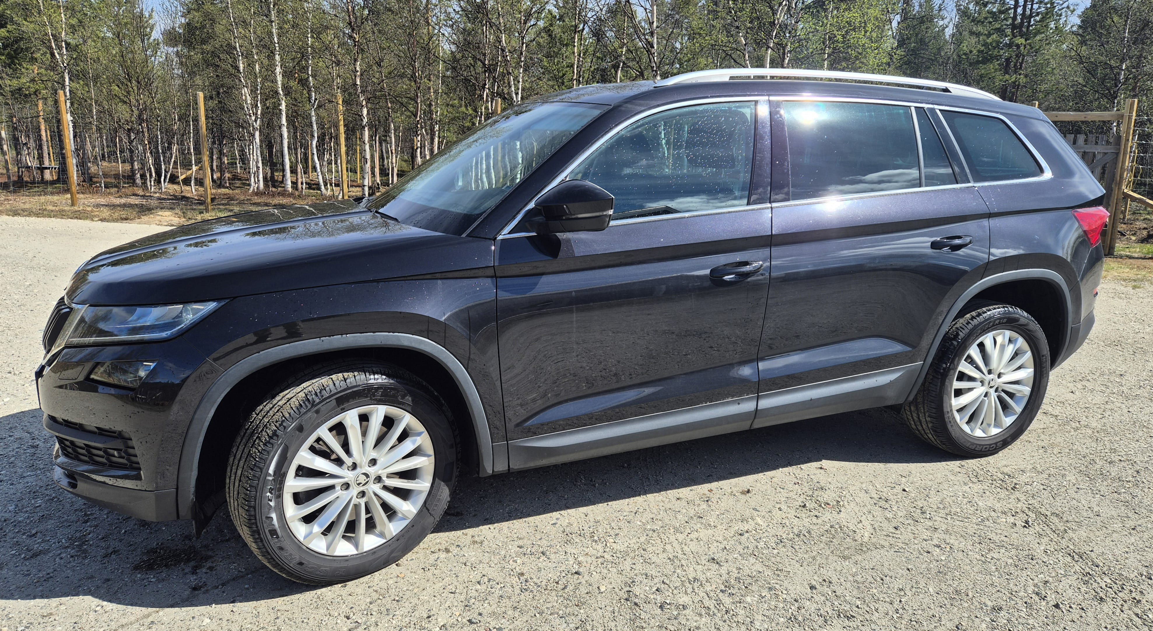 Skoda Kodiaq, 2019, Diesel, automatisk