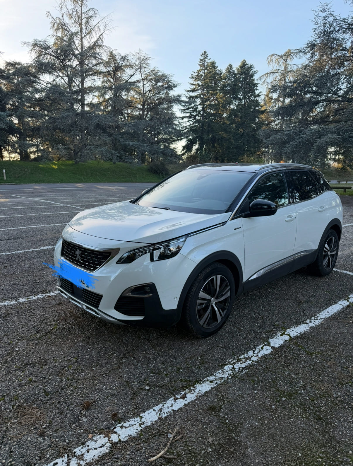 Peugeot 3008, 2020, Essence 95