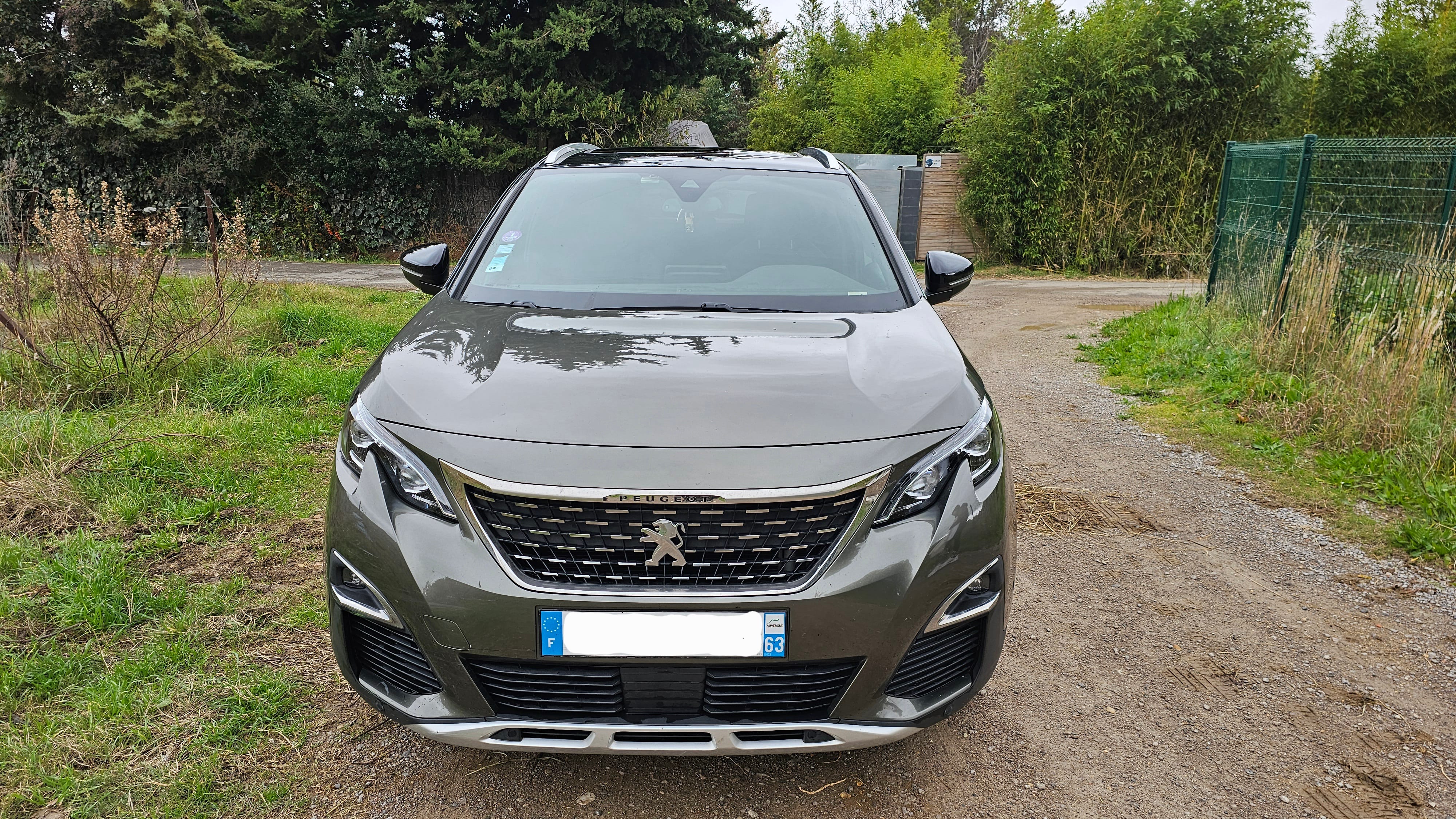 Peugeot 3008 GT Line toutes options met Cruise control