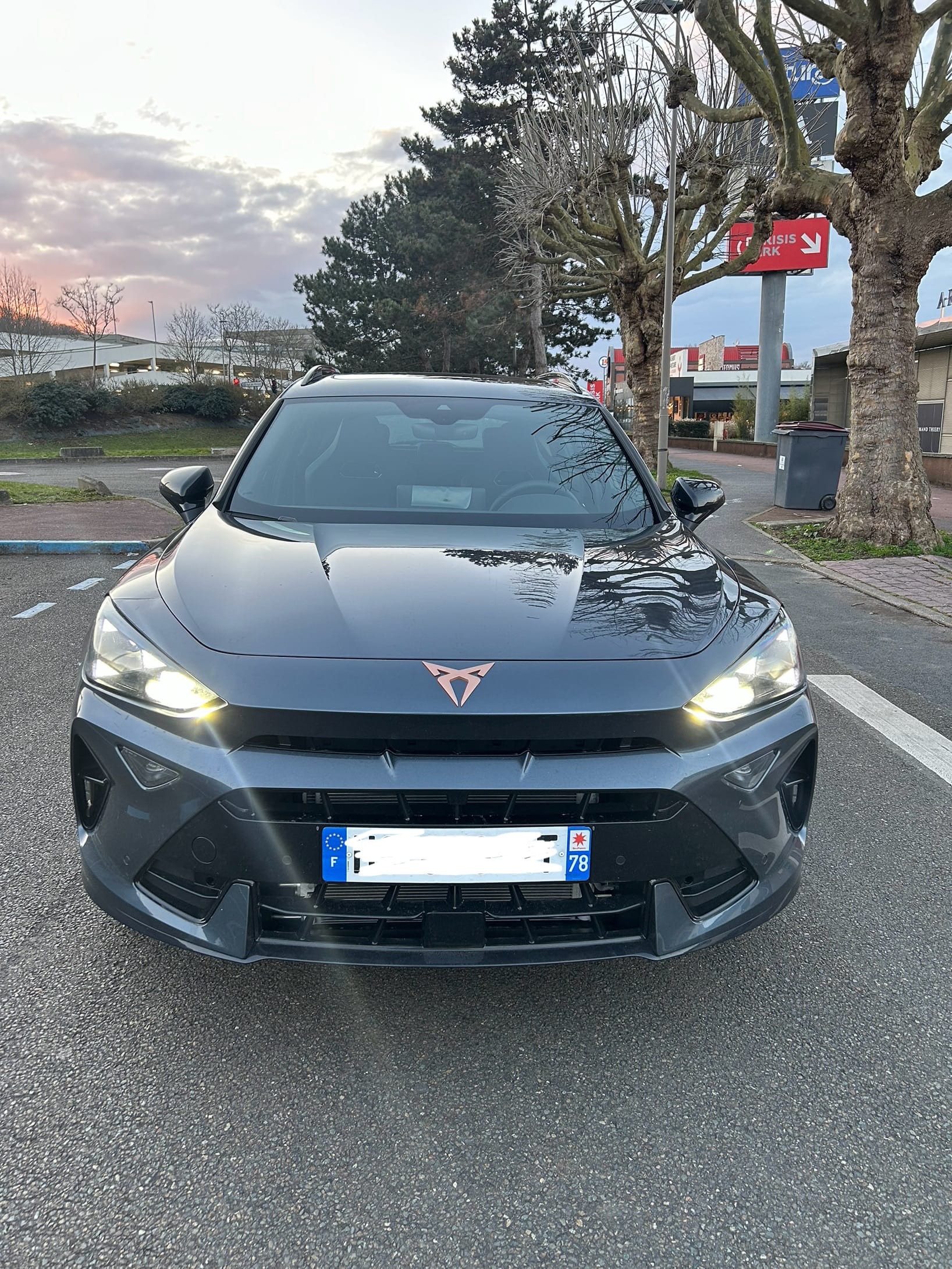 Cupra Formentor, 2025, Essence 98 / Électrique (hybride), automatique