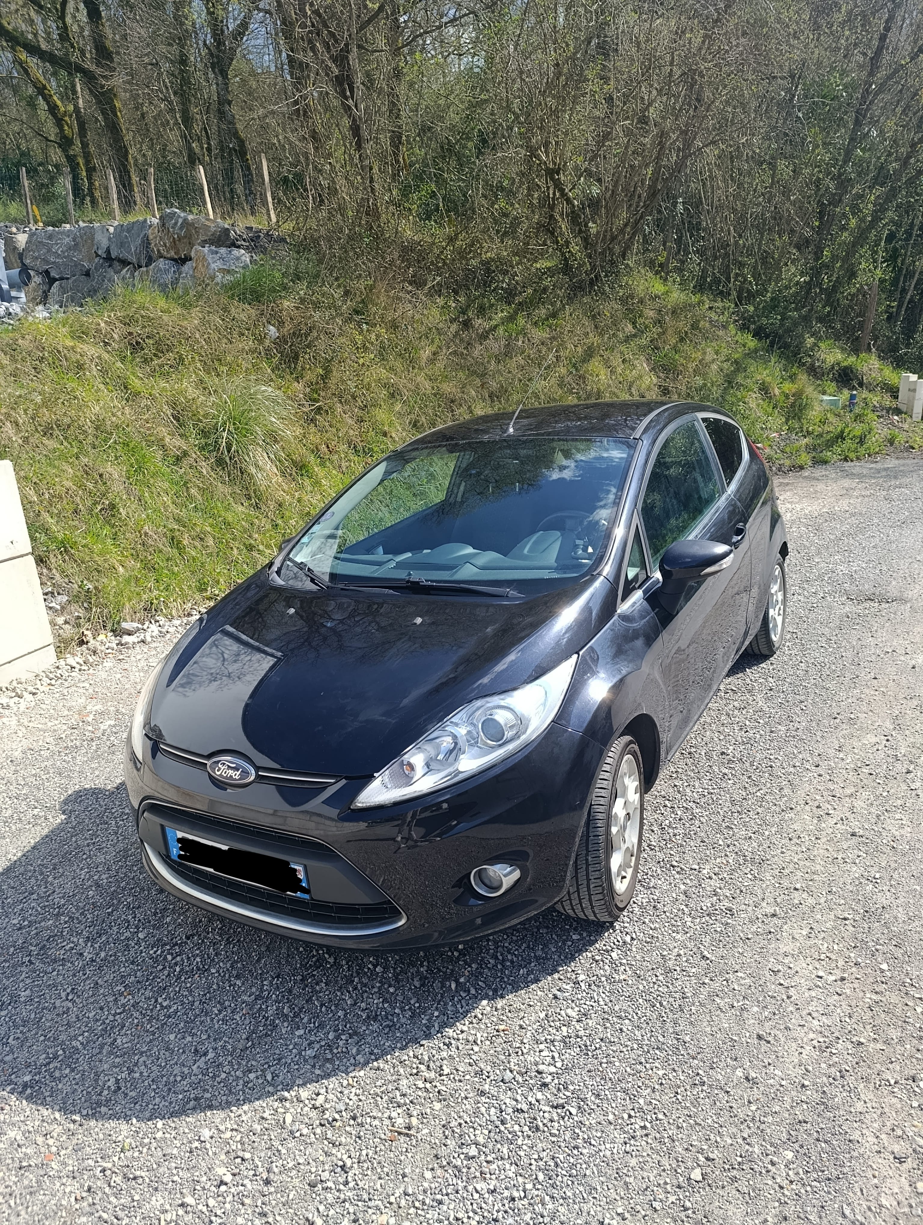 Ford Fiesta, 2012, Essence 95