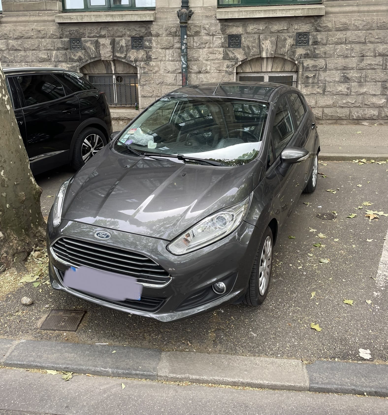Ford Fiesta, 2015, Essence 95