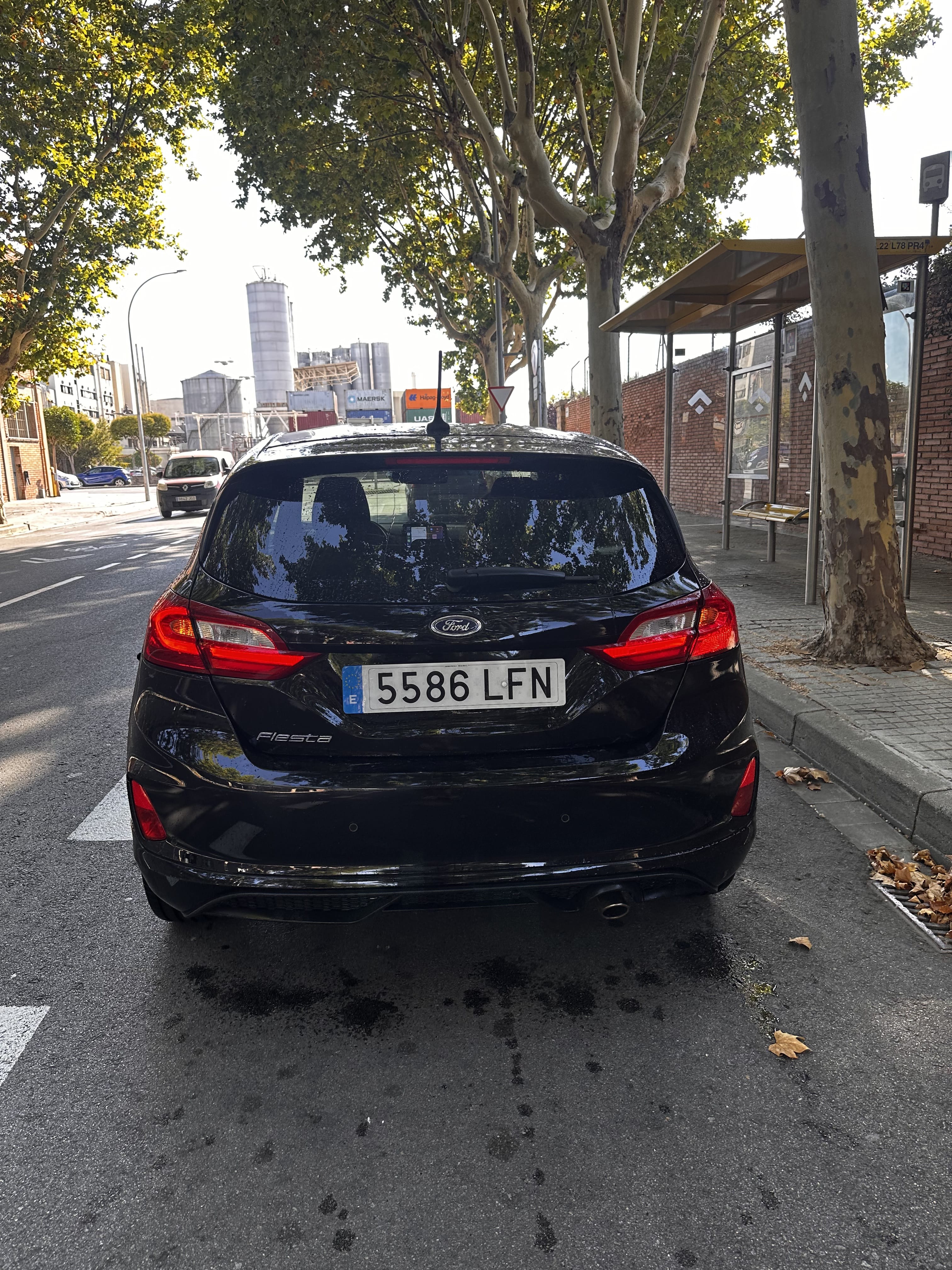 Ford Fiesta ST con GPS