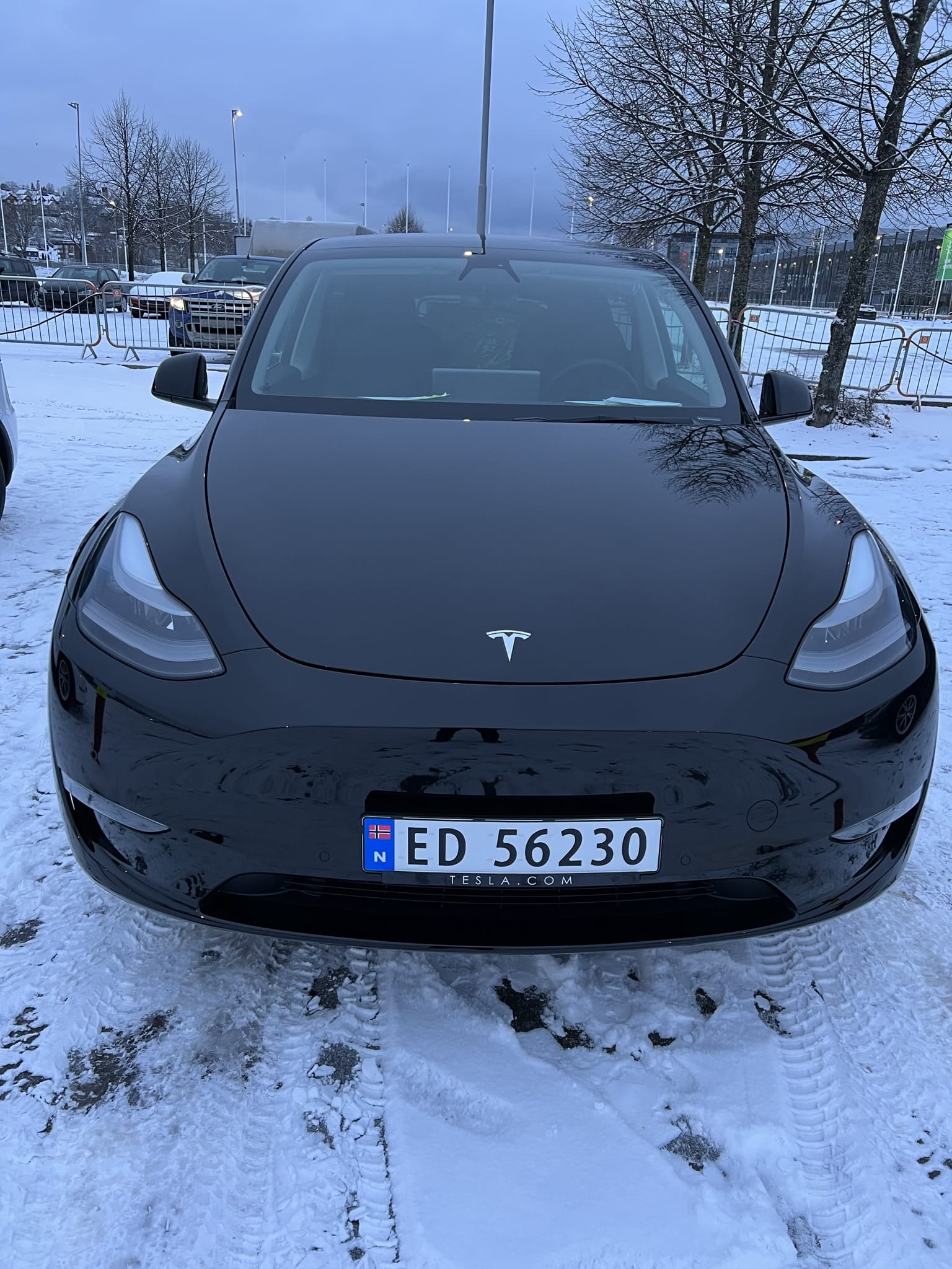 Tesla Model Y, 2021, Elektrisk, automatisk