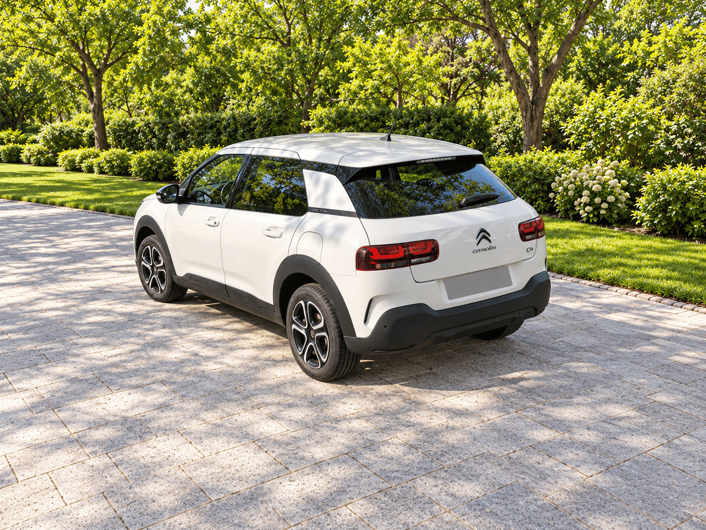 Citroen C4 Cactus