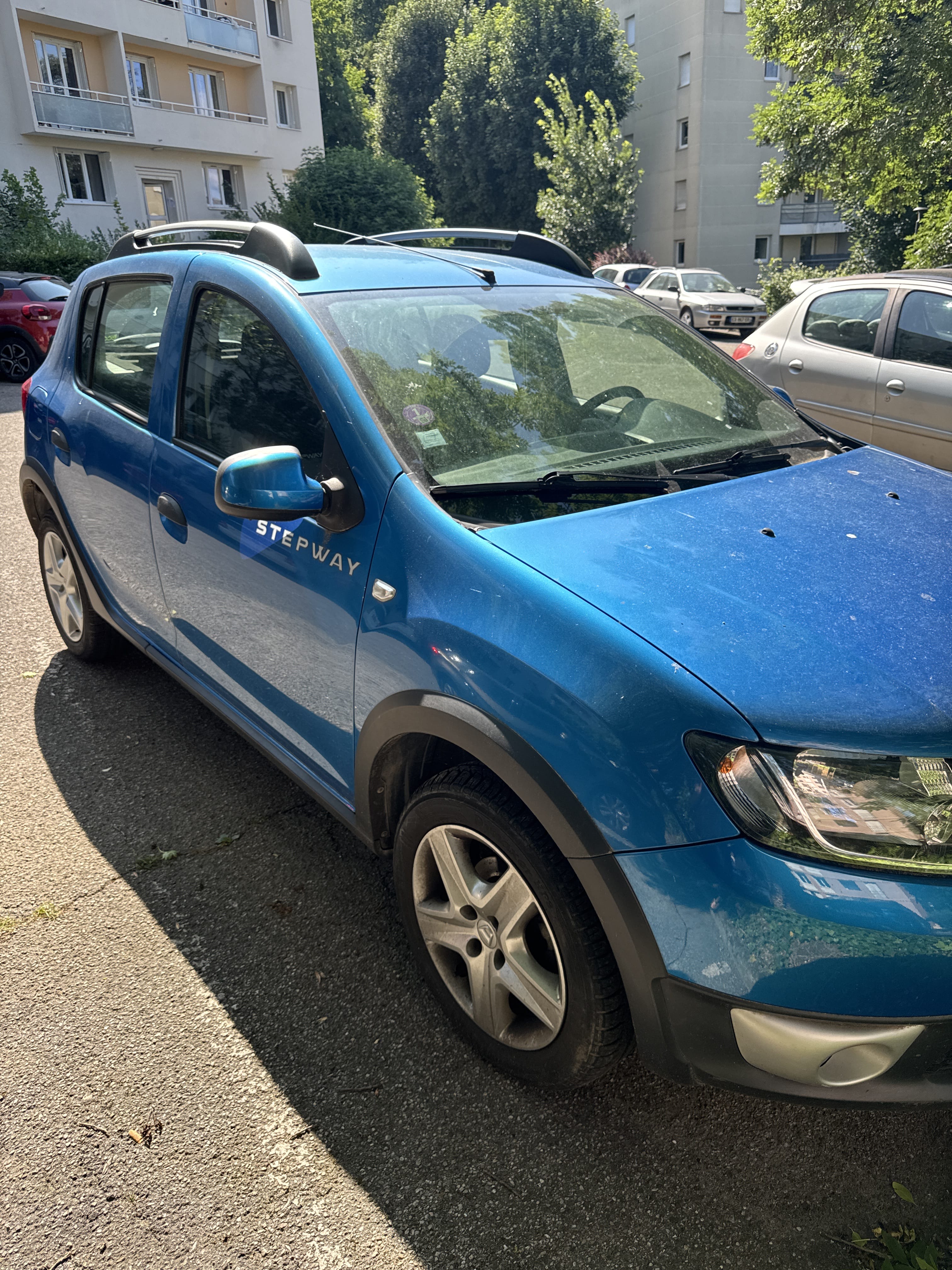 Dacia Sandero Stepway, 2014, Essence 95