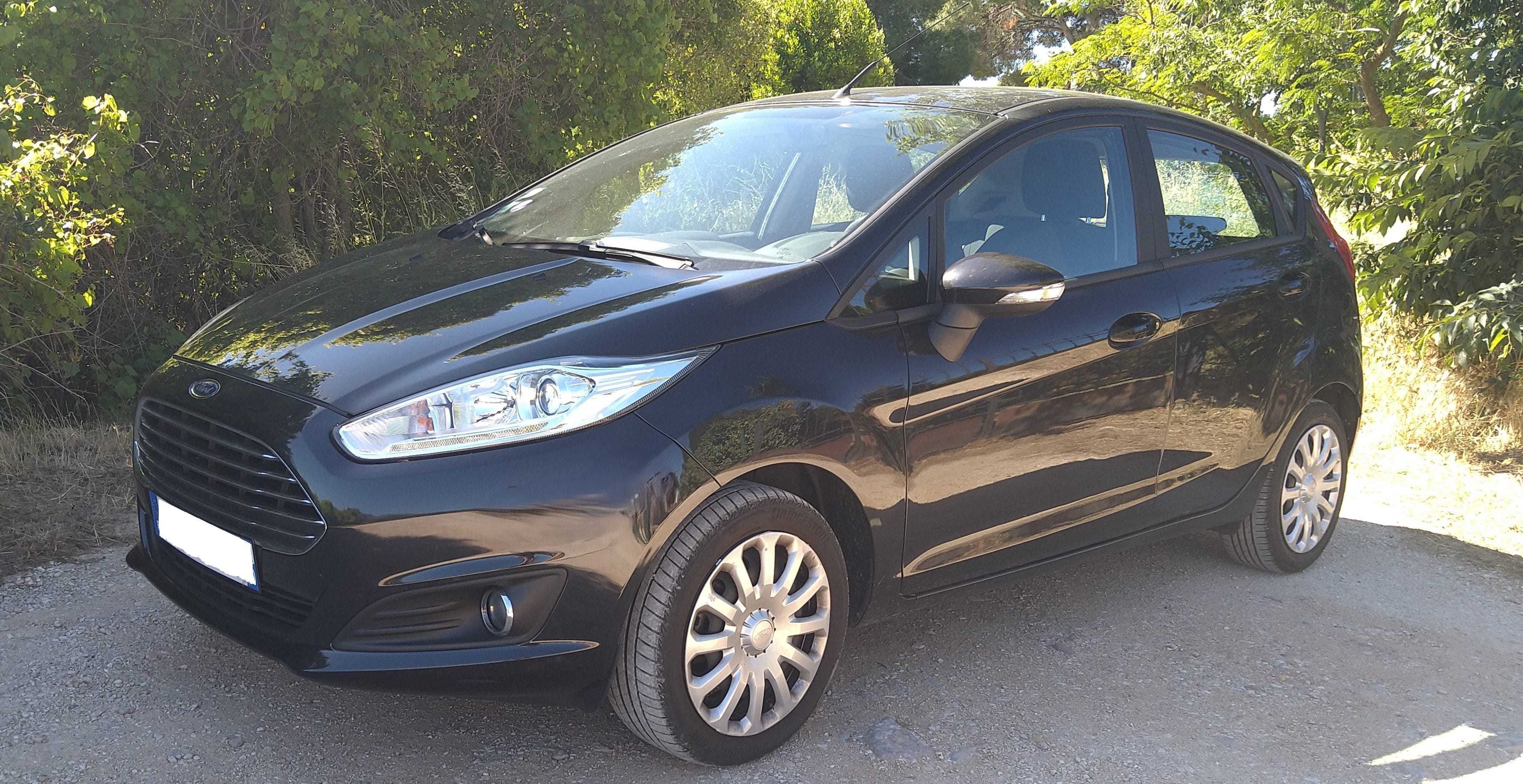 Ford Fiesta, 2013, Essence 95