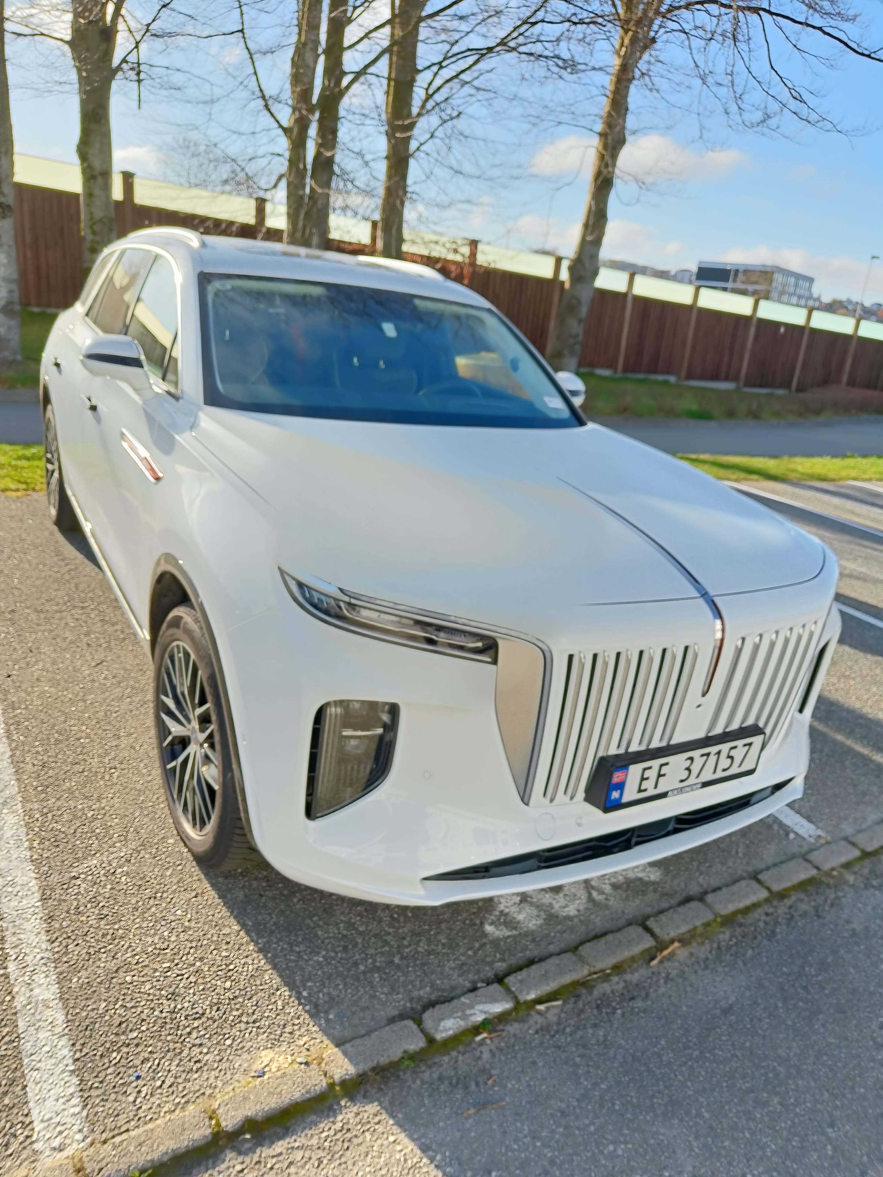 Hongqi E-HS9, 2022, Elektrisk, automatisk, 7 seter