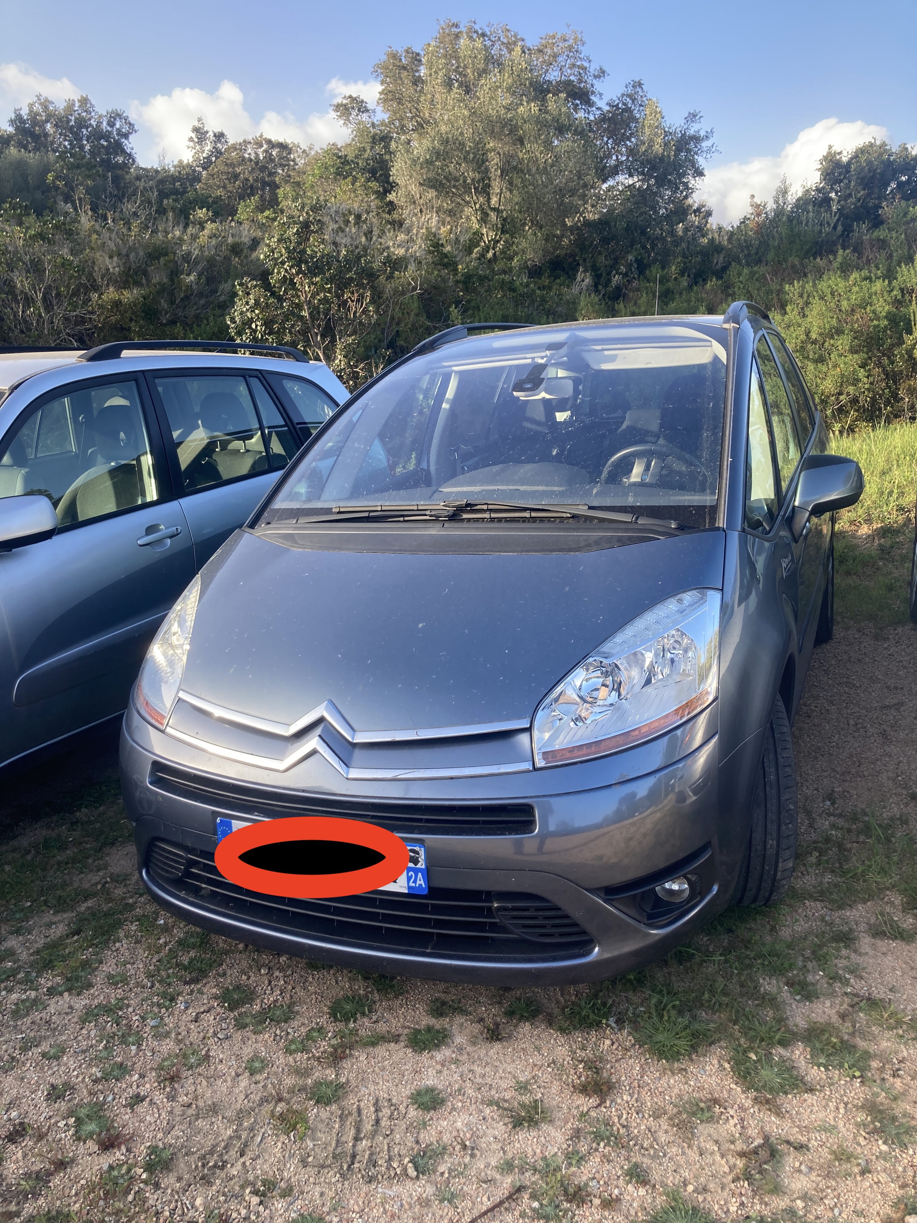 Citroen C4 Grand Picasso, 2010, Diesel, 7 places