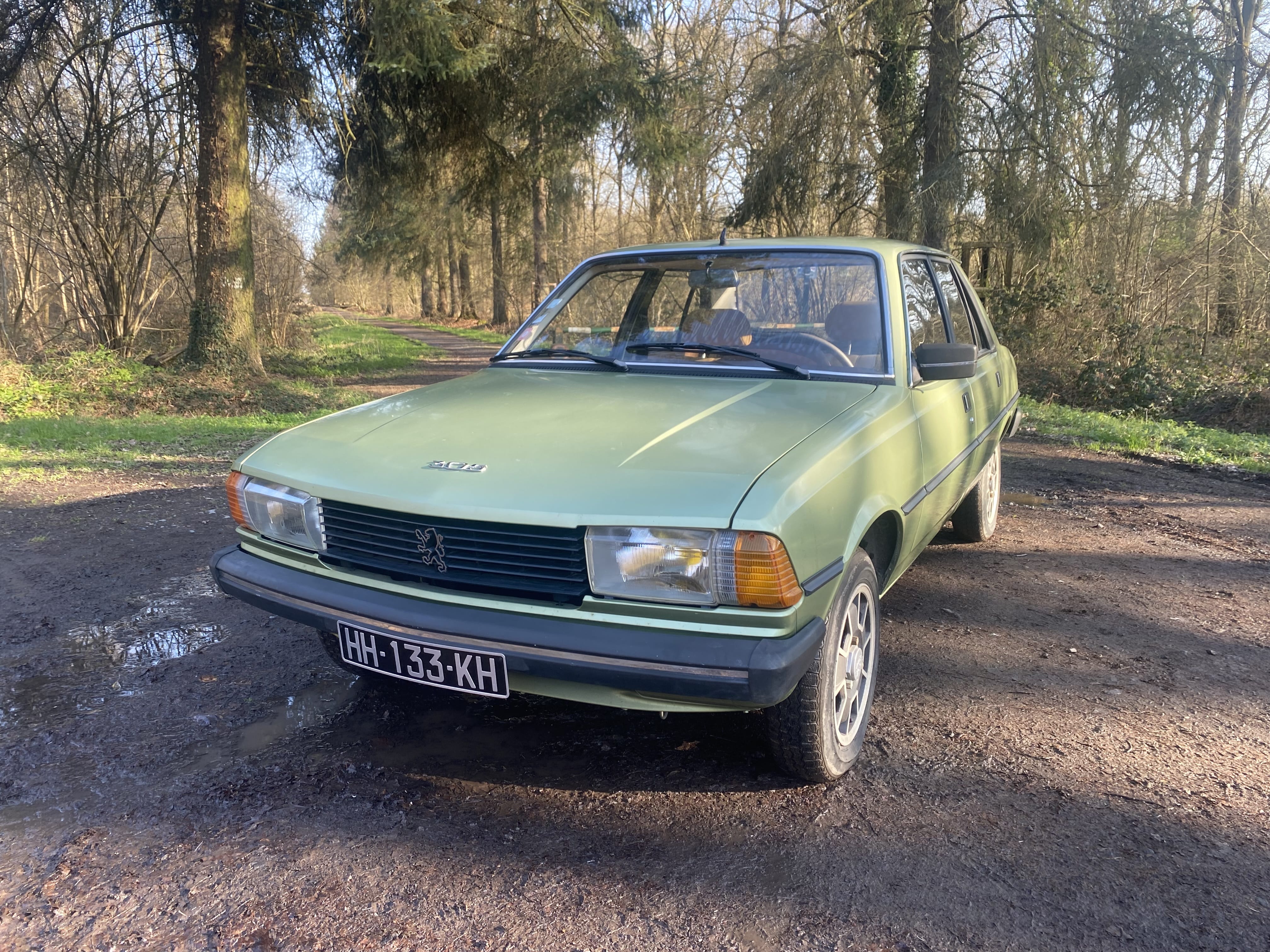 Peugeot 305, 1979, Essence 98