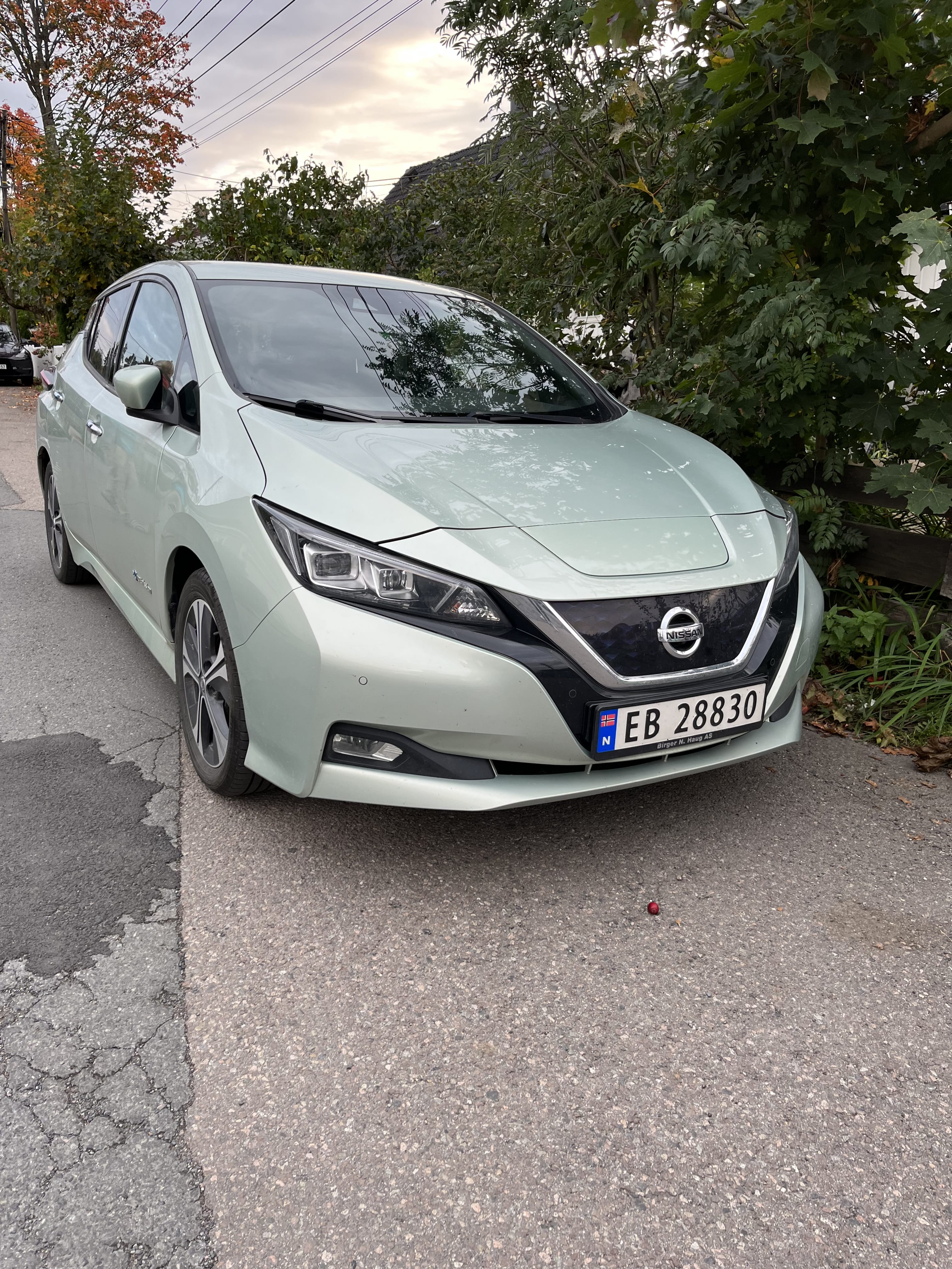 Nissan Leaf, 2020, Elektrisk, automatisk