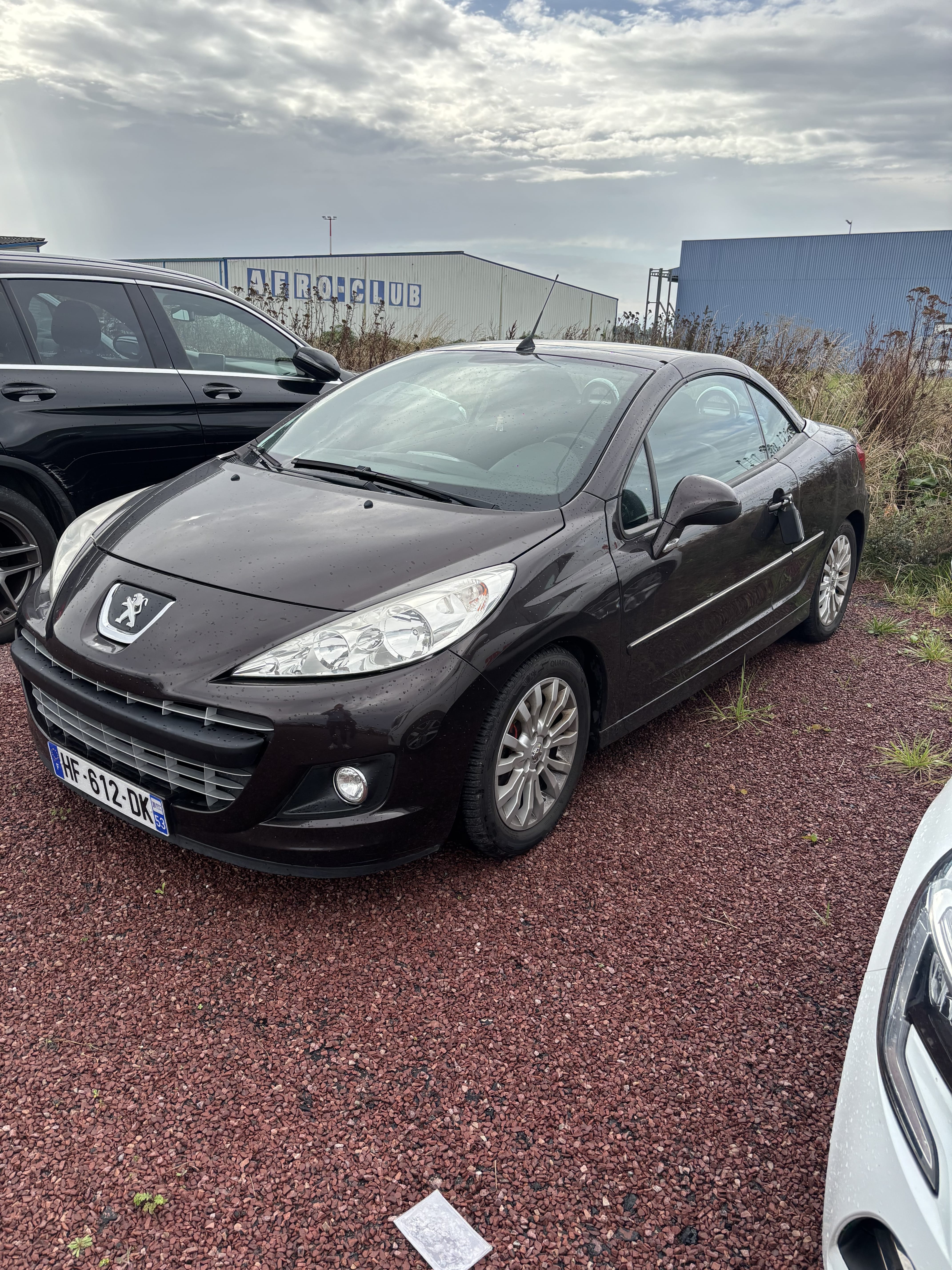 Peugeot 207 CC avec Entrée audio / iPod