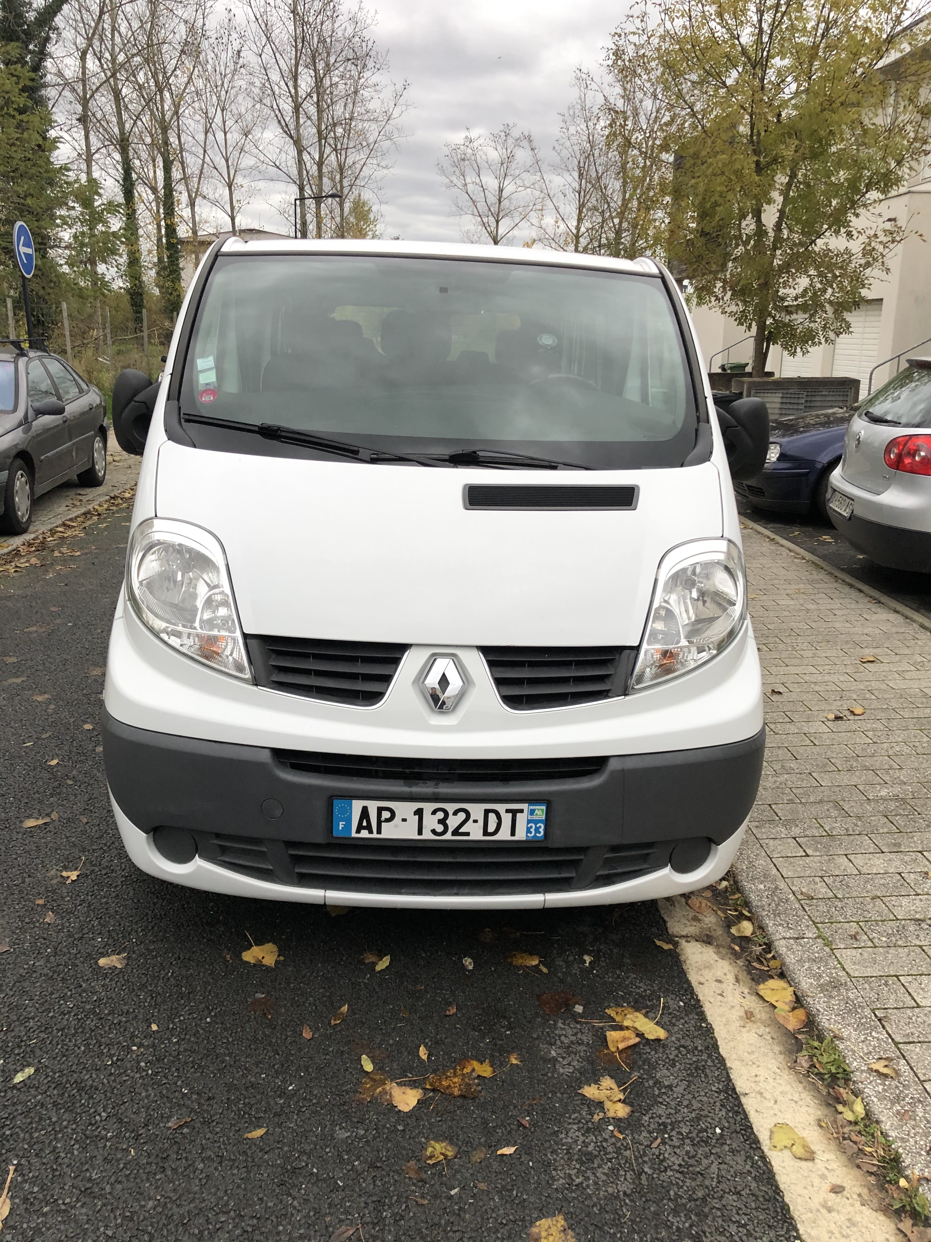 Renault Trafic Passenger, 2010, Diesel, 9 places et plus
