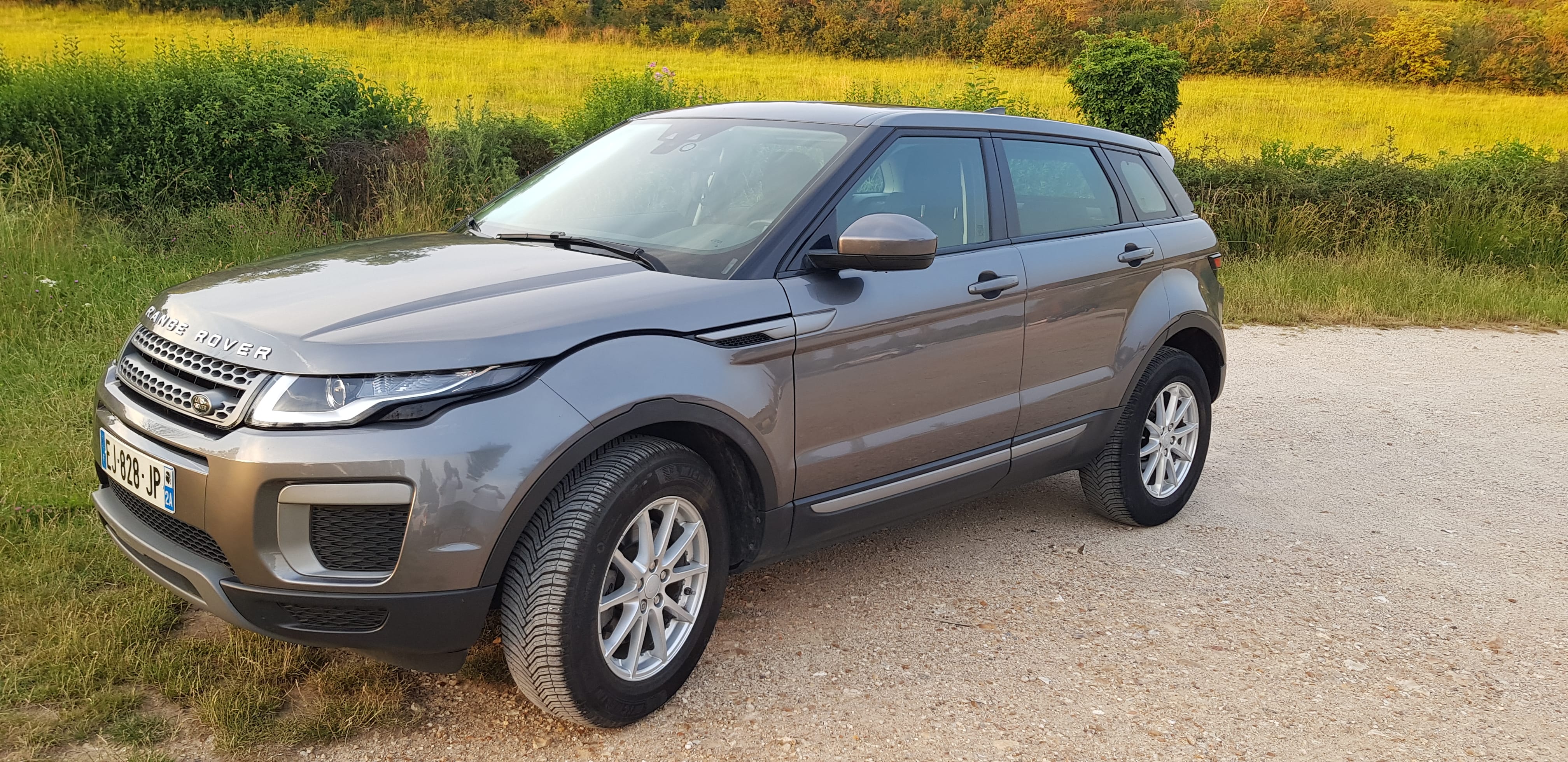 Land-Rover Range Rover Evoque MARK IV TD4 150 Chx BVA PURE, 2017, Diesel, automatique