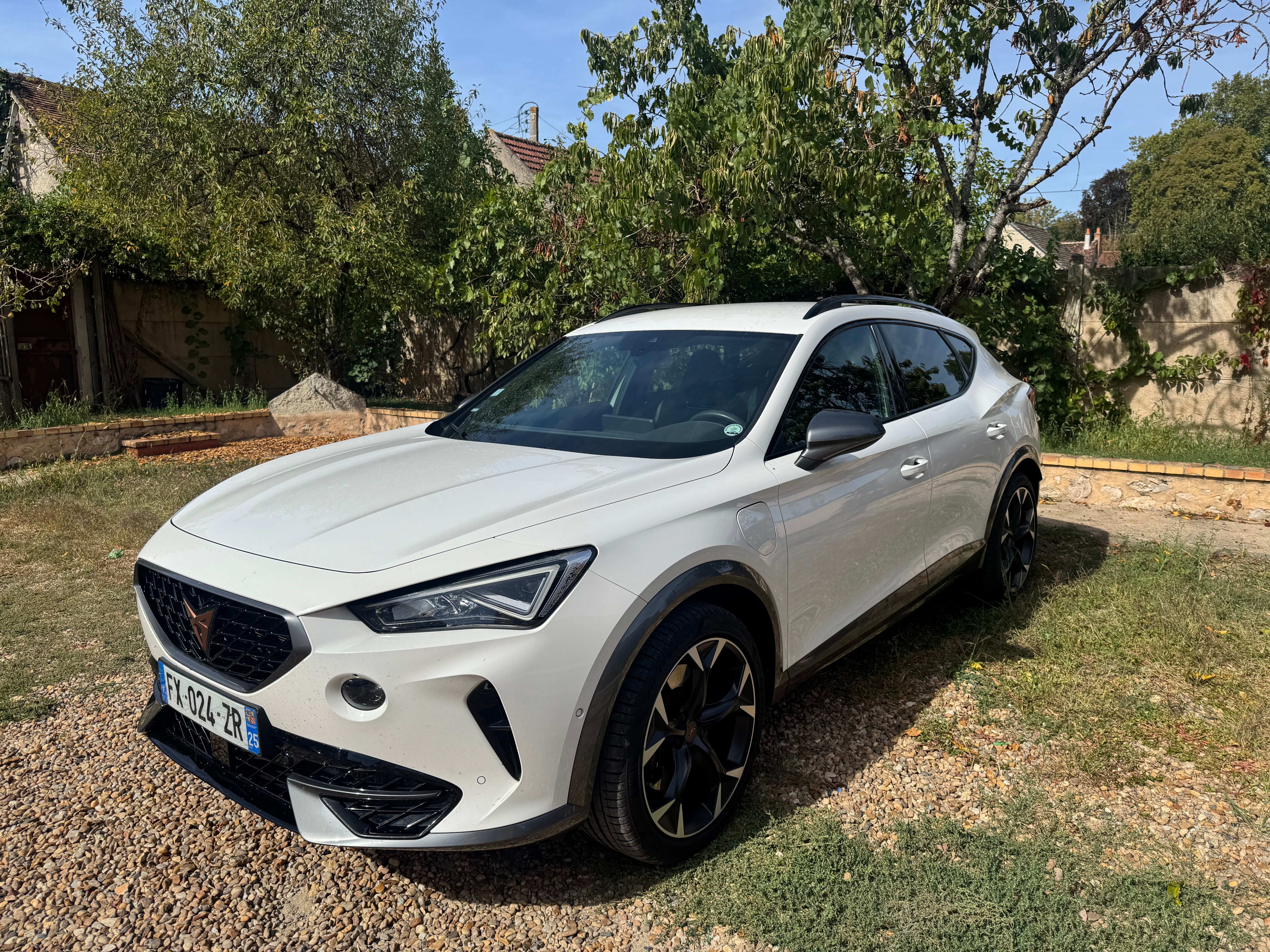 Cupra Formentor, 2021, Essence 95 / Électrique (hybride), automatique