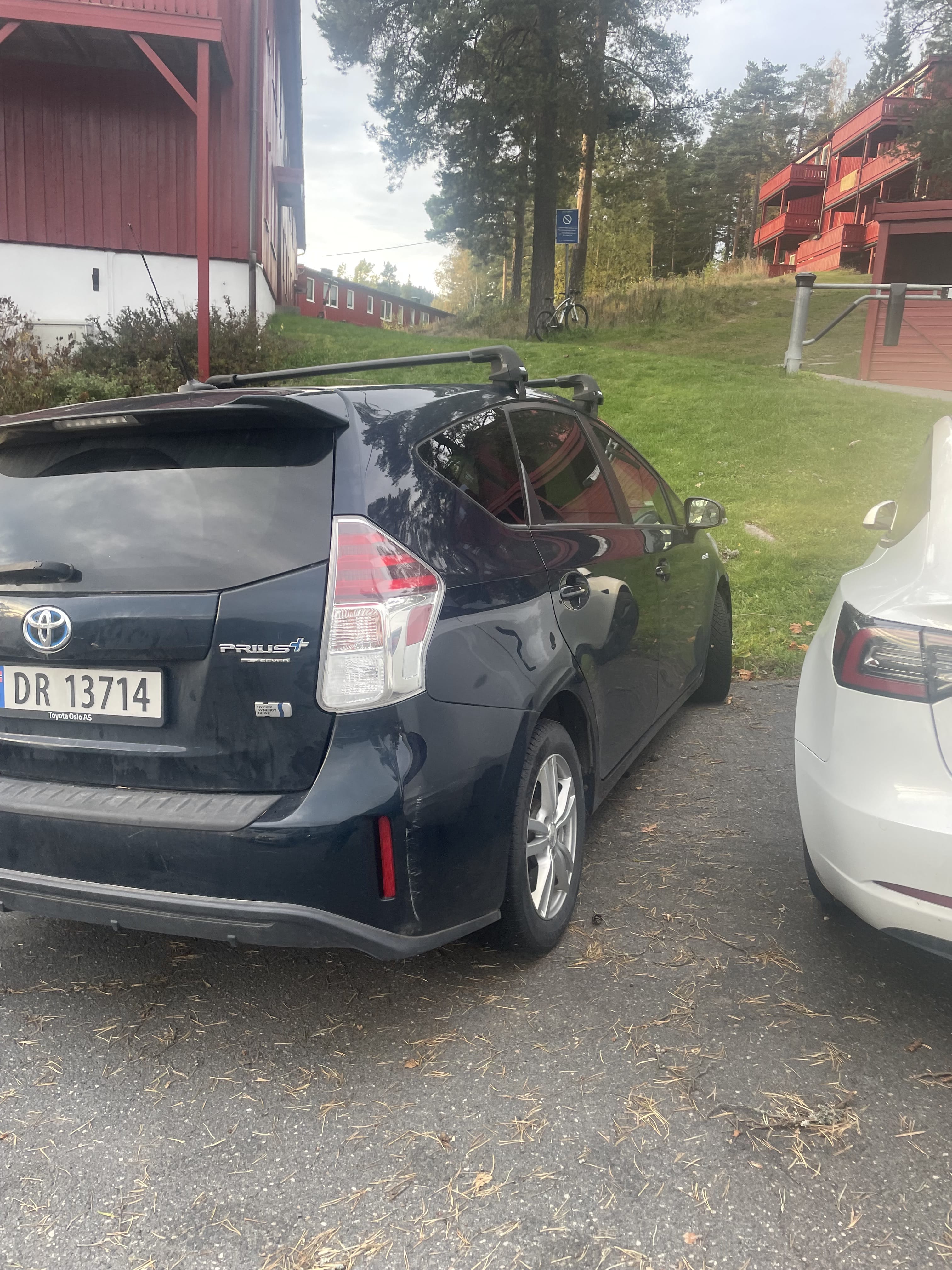 Toyota Prius + with Cruise control
