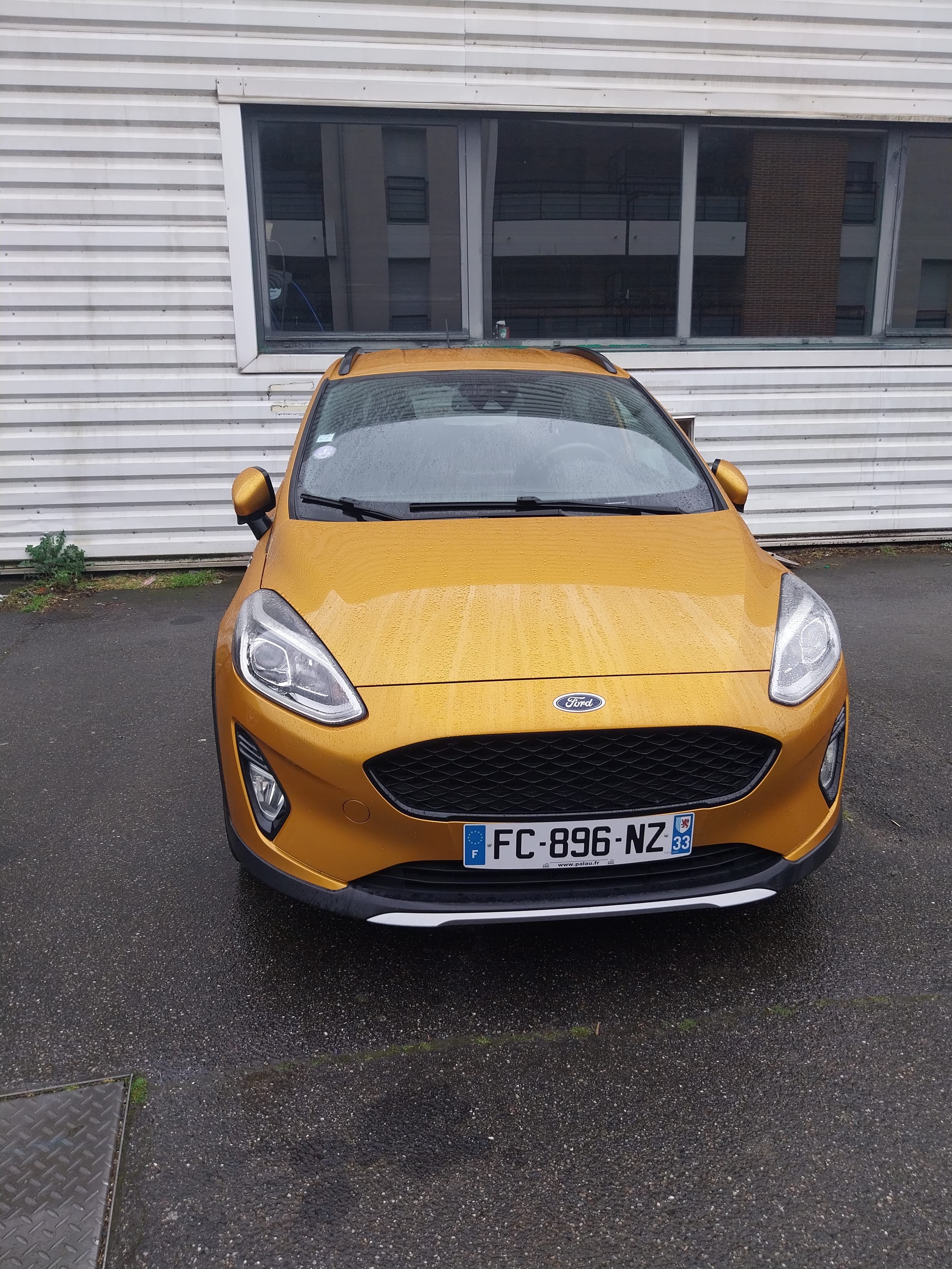 Ford Fiesta, 2018, Essence 95