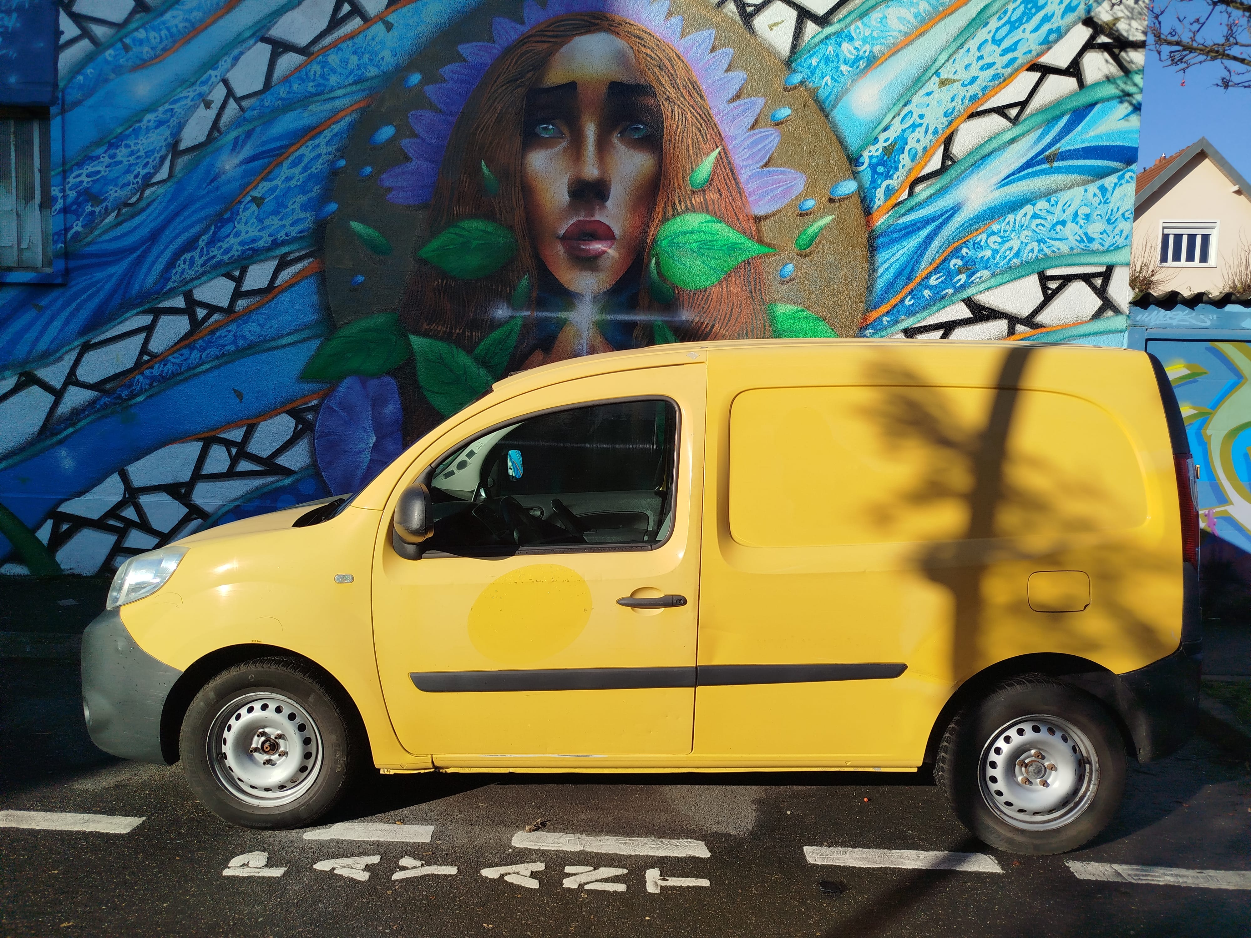 Renault Kangoo Express 1.5 DCI avec Audio Bluetooth