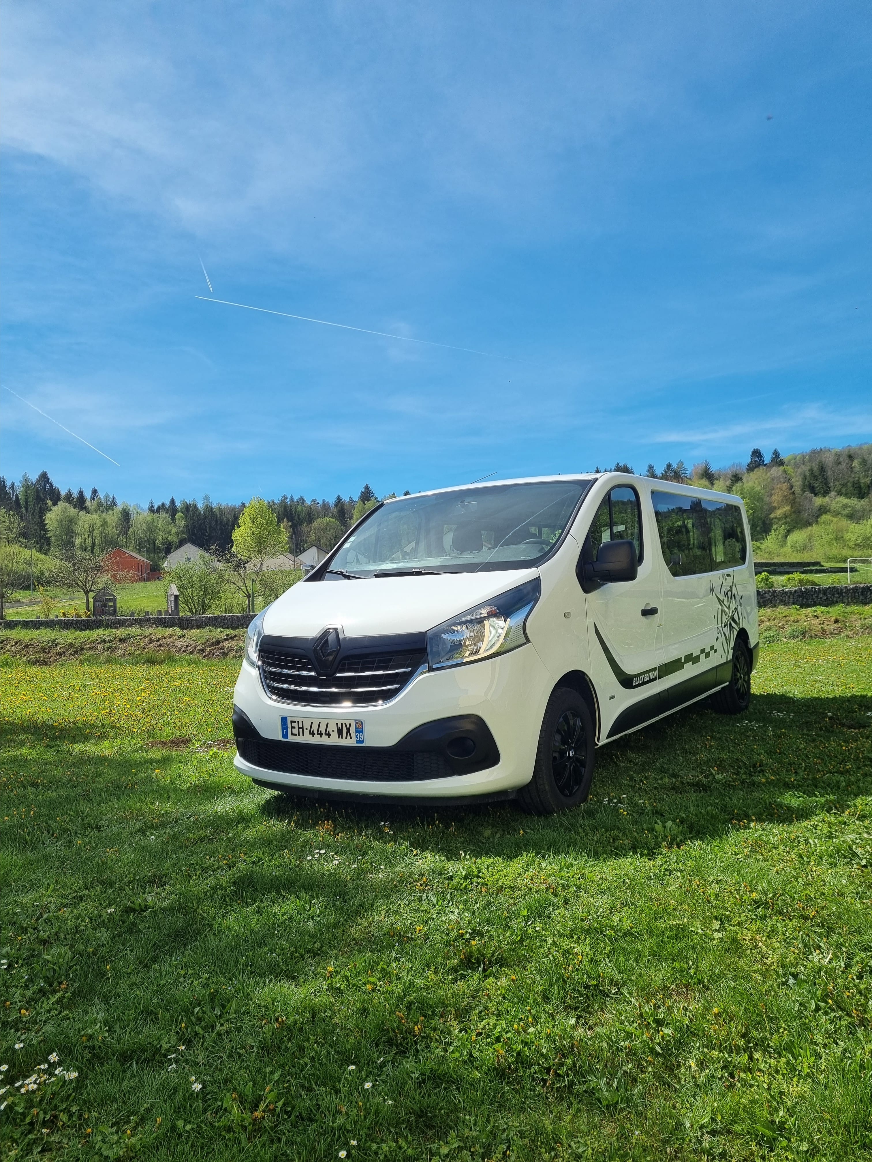 Renault Trafic, 2016, Diesel, 9 places et plus