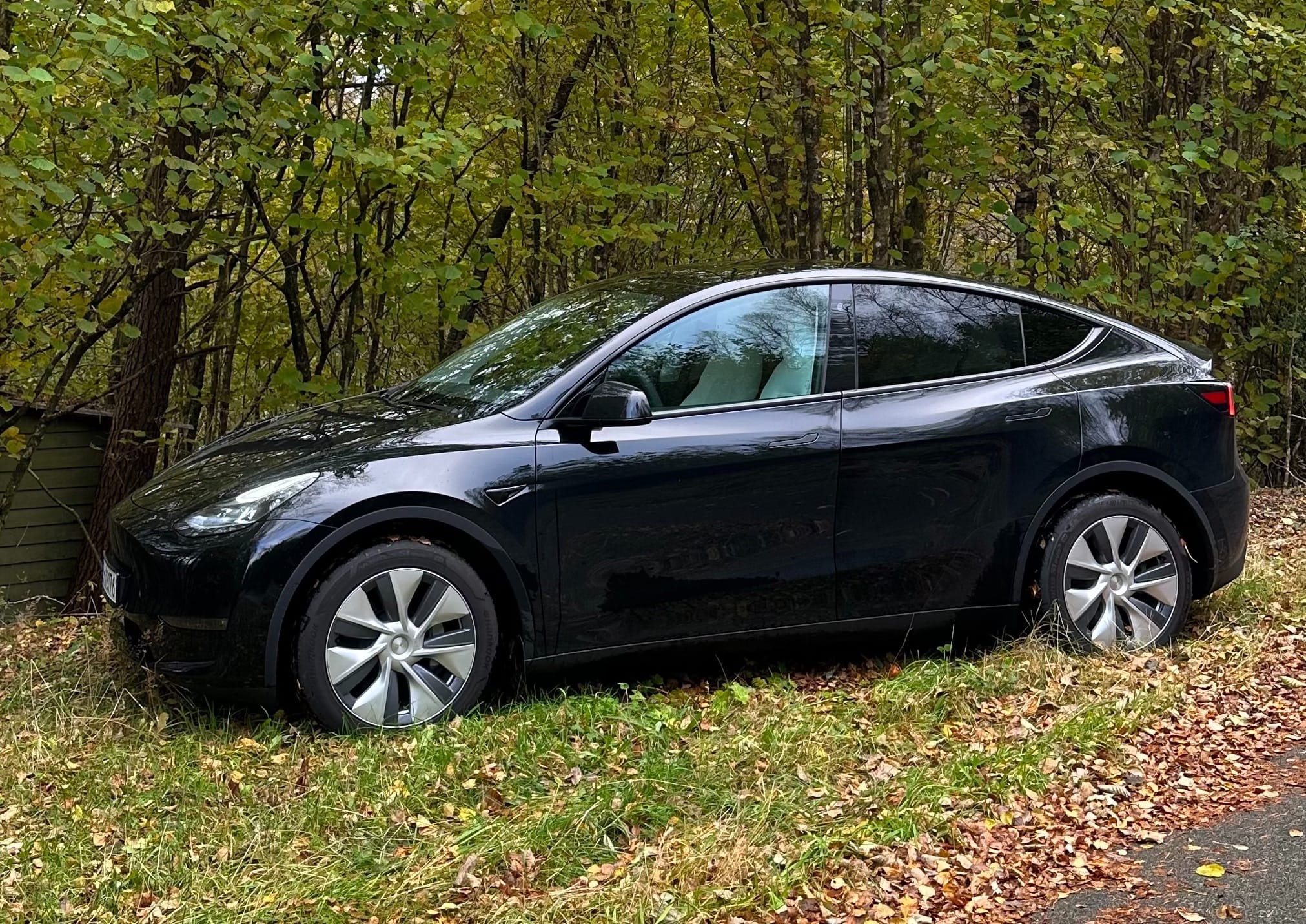 Tesla Model Y Long Range, 2023, Elektrisk, automatisk