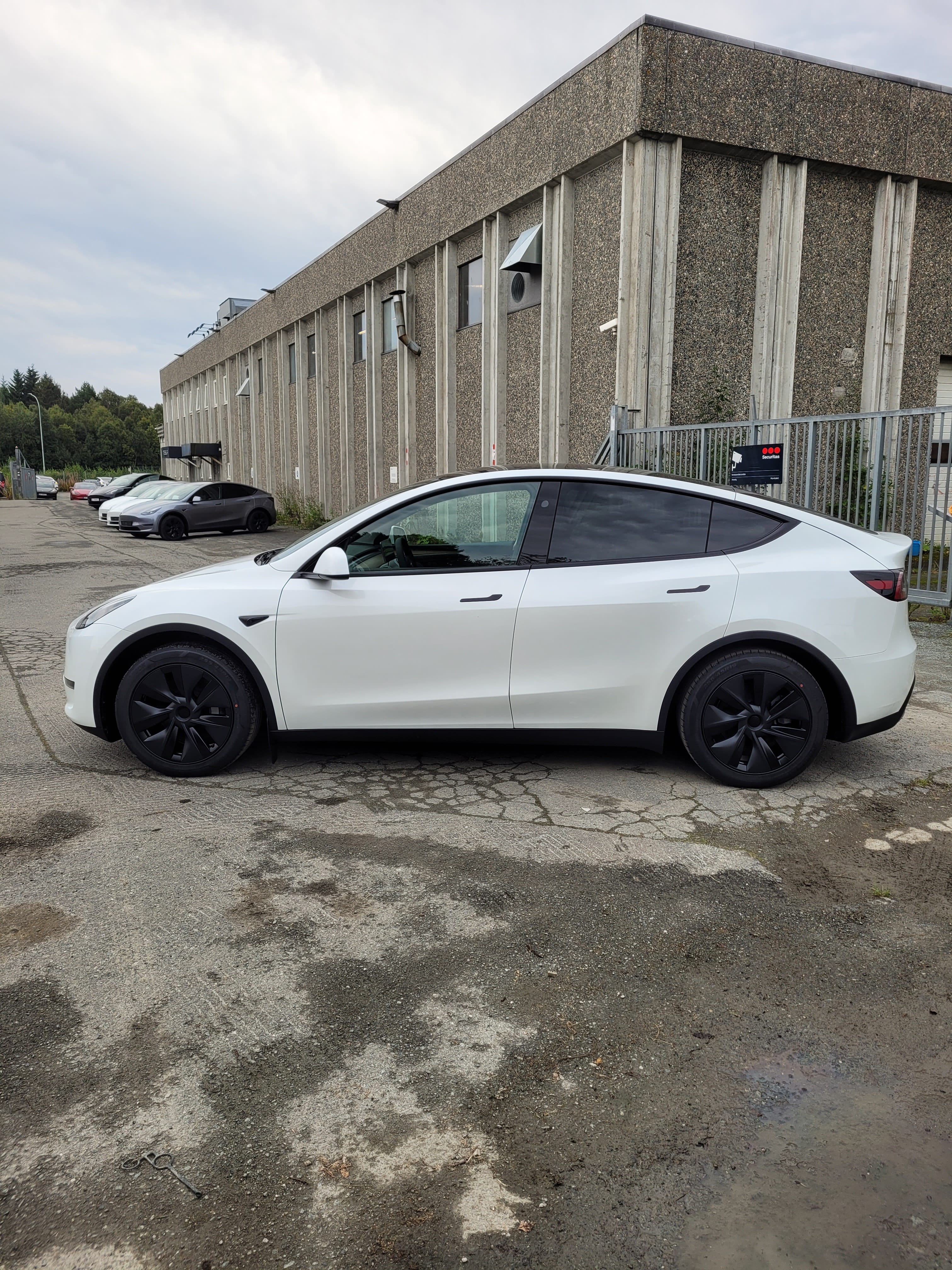Tesla Model Y Long Range med Lydinngang