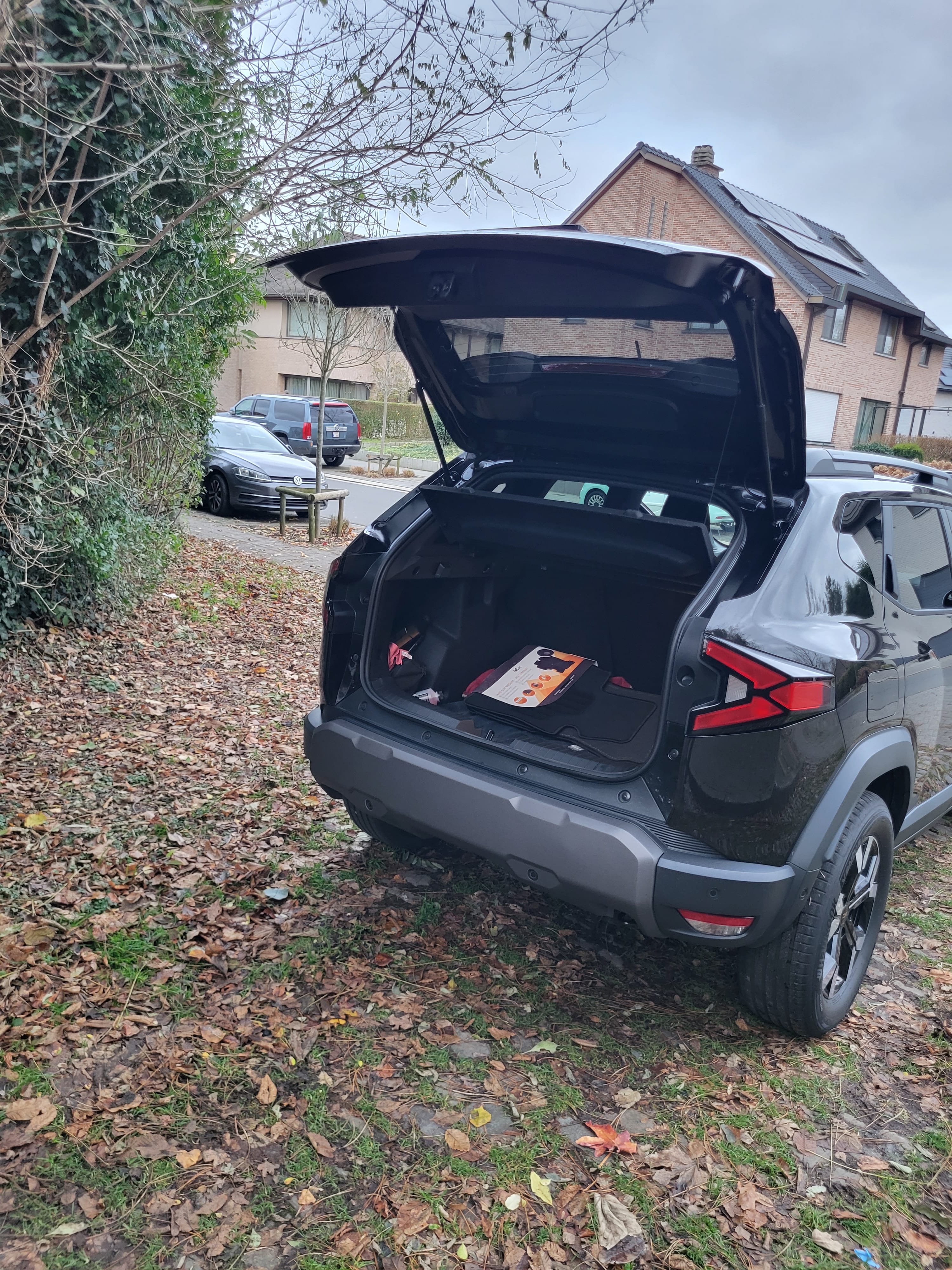 Dacia Duster met Bluetooth audio