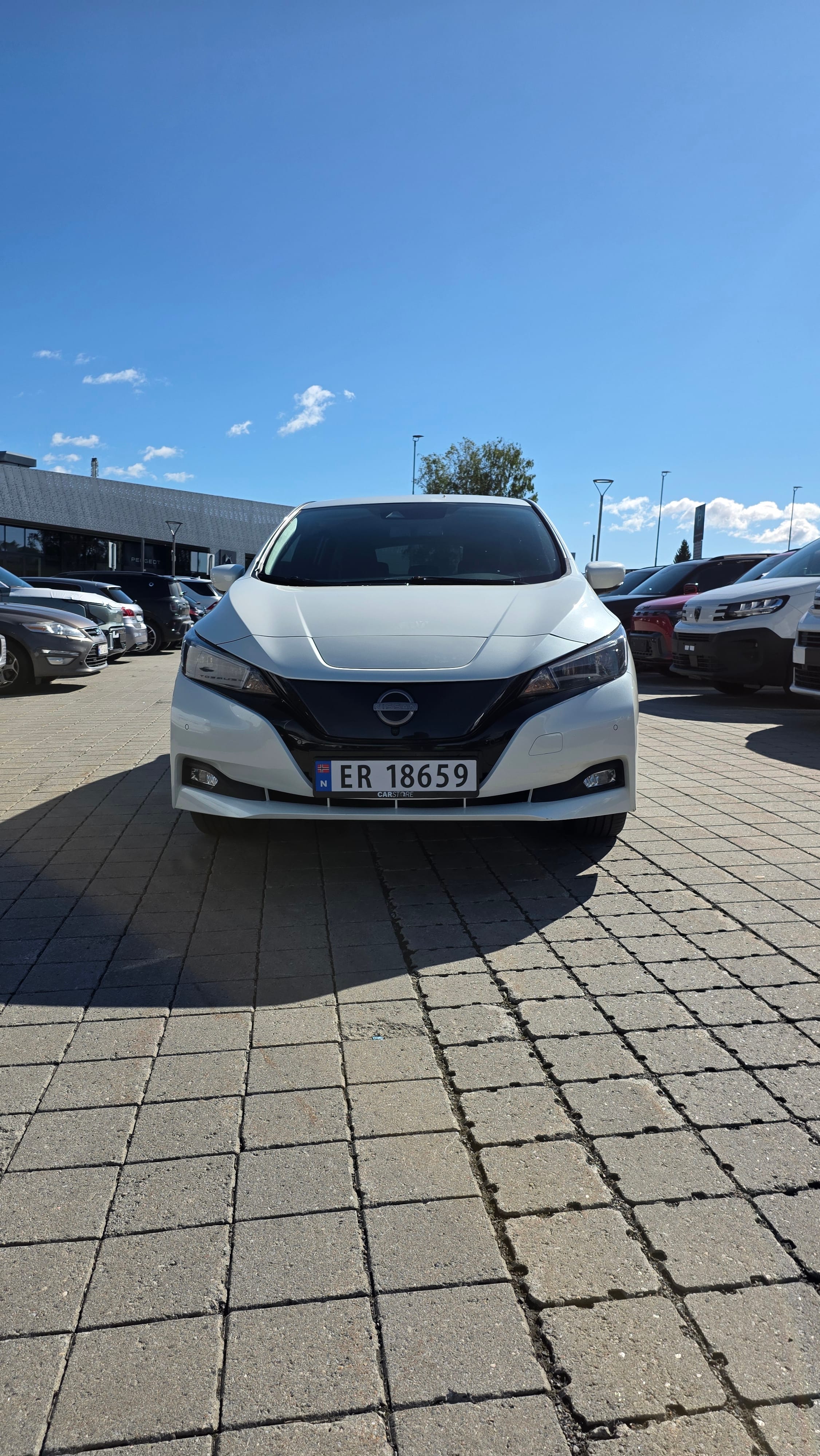 Nissan Leaf med GPS