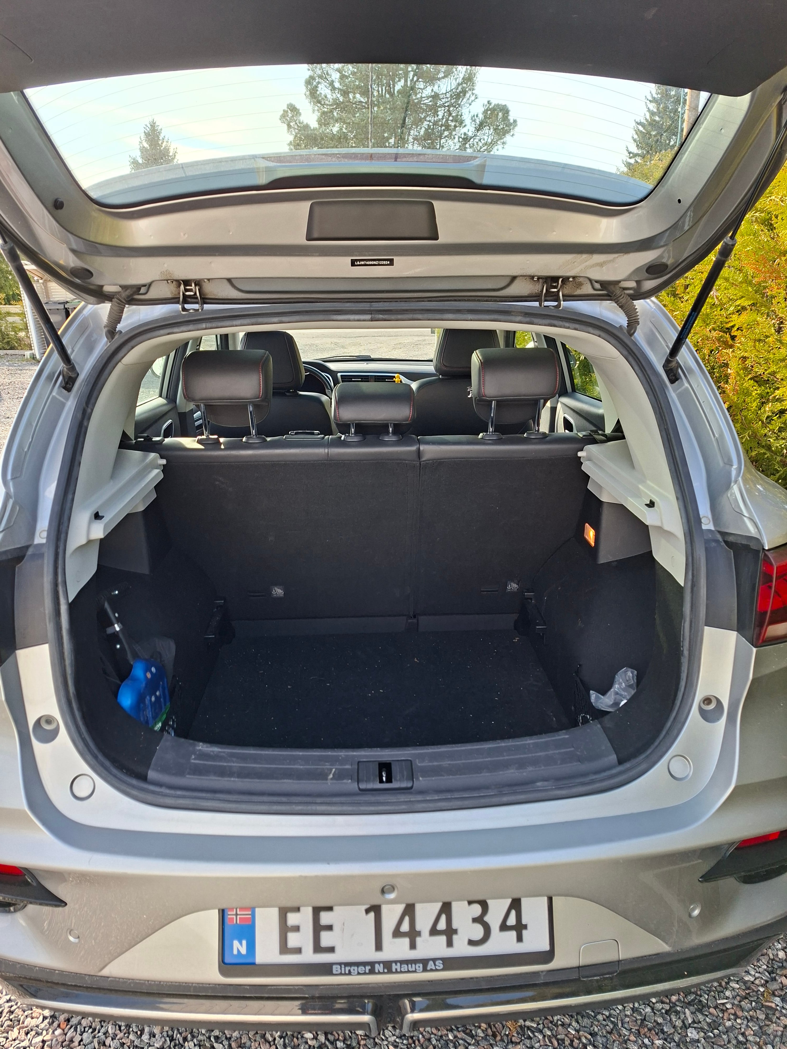 MG ZS EV with Bluetooth audio