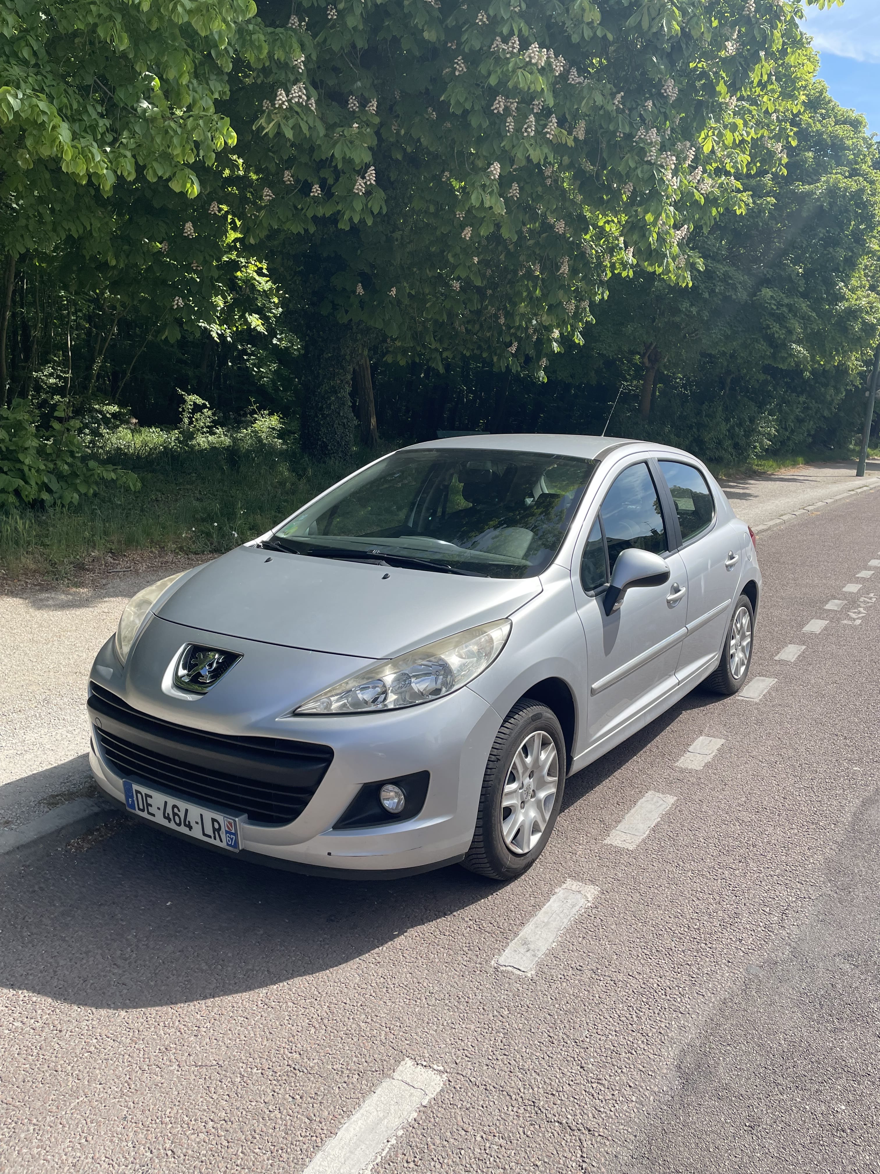 Peugeot 207+ avec Porte-skis