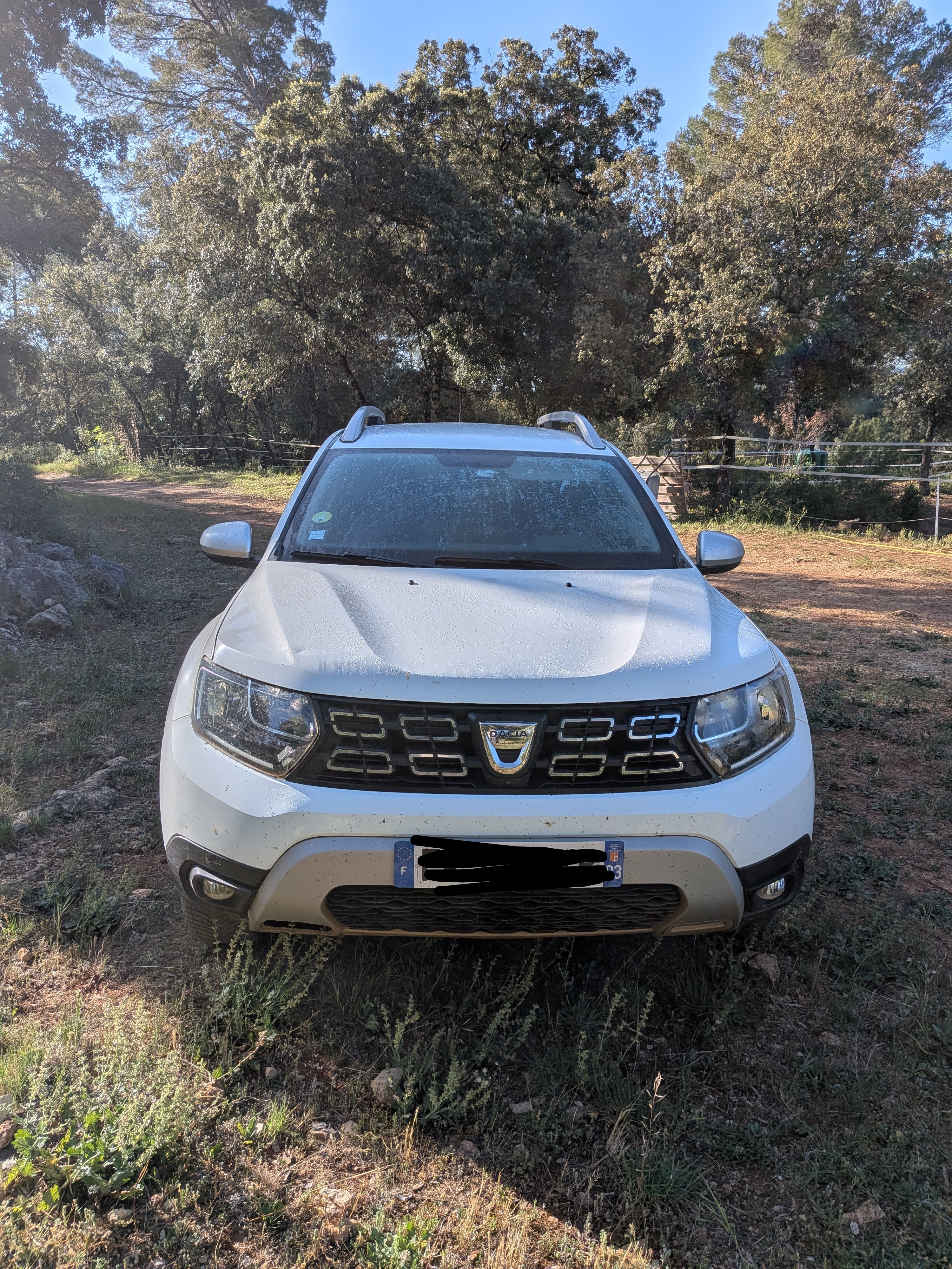 Dacia Duster avec Audio Bluetooth