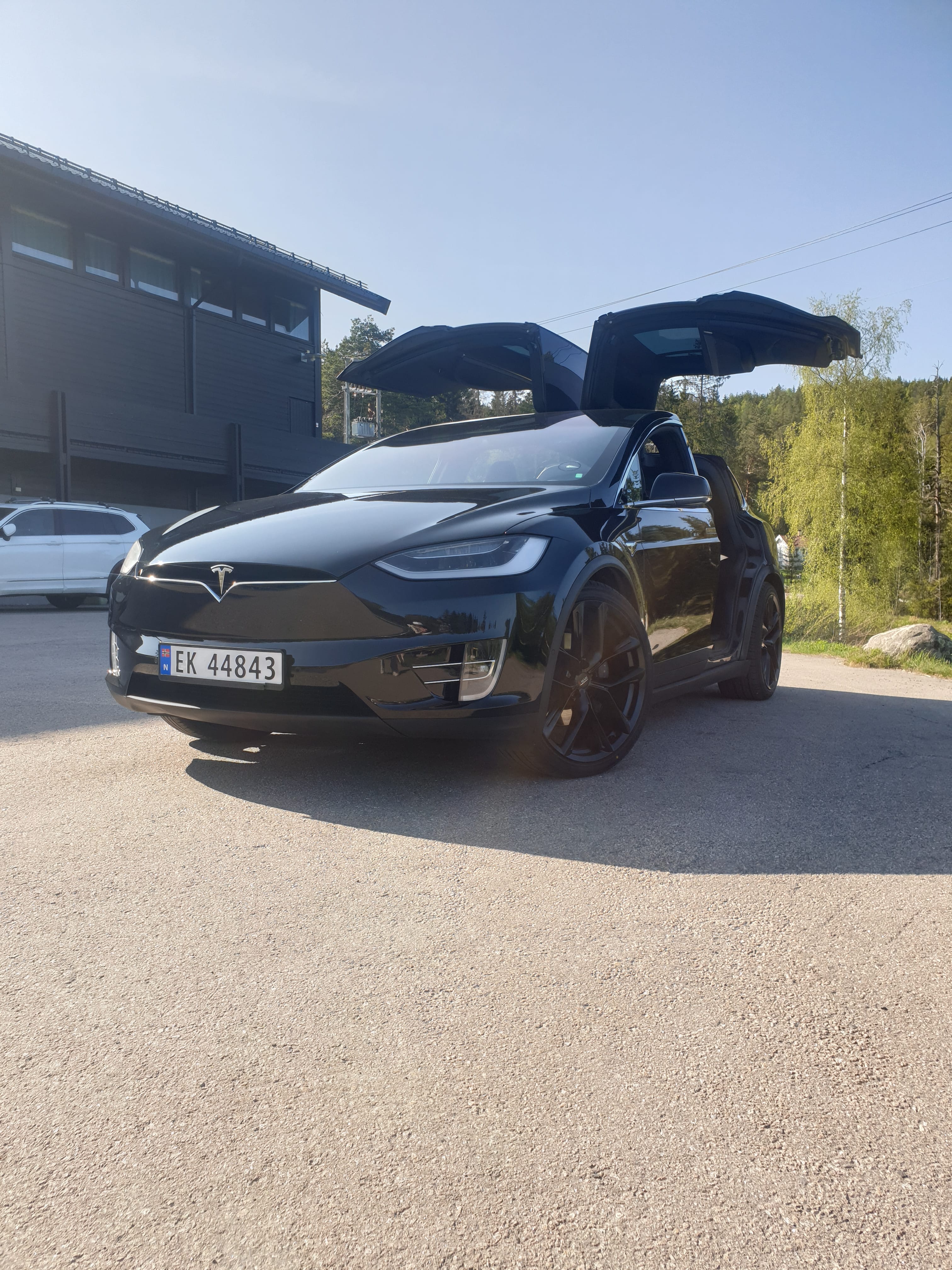 Tesla Model X 100D, 2017, Electric, automatic, 6 seats