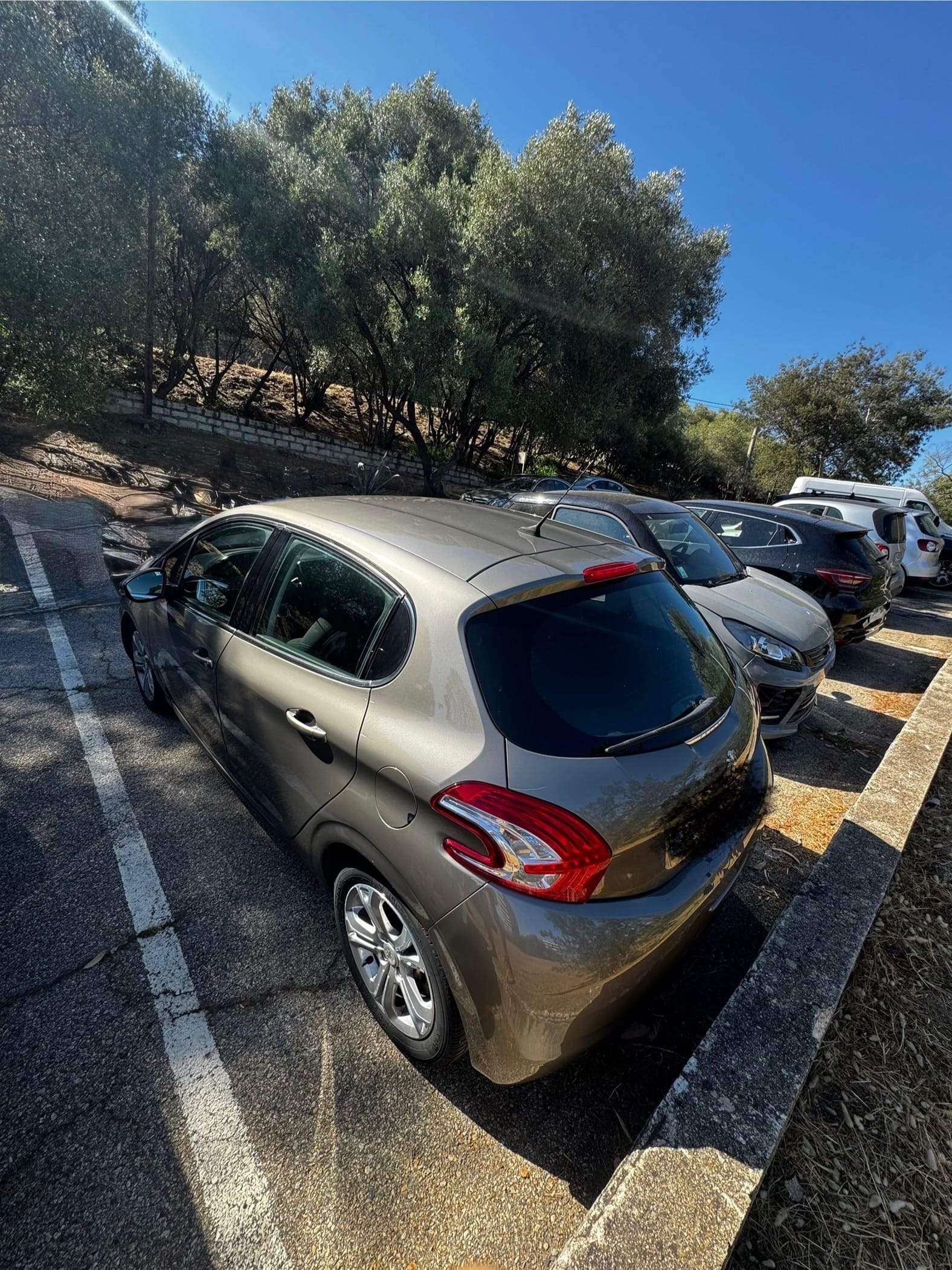 Peugeot 208 with GPS