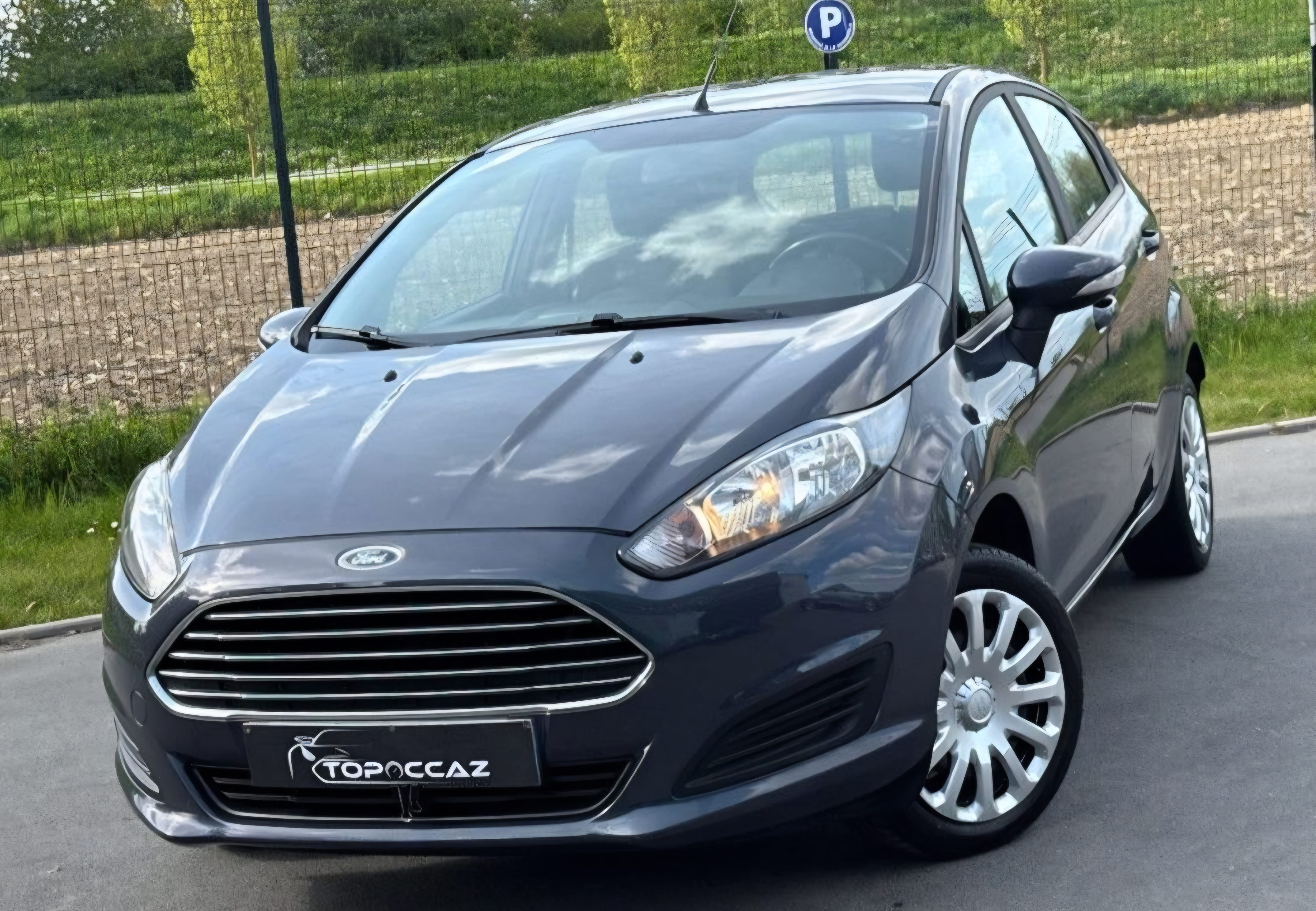 Ford Fiesta, 2014, Essence 95