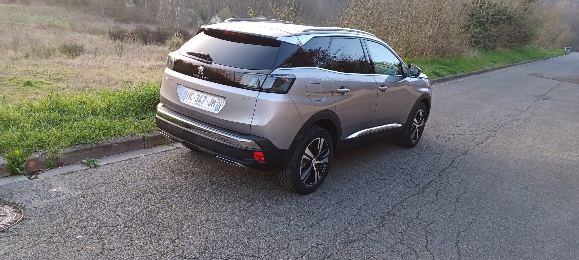 Peugeot 3008 avec Régulateur de vitesse