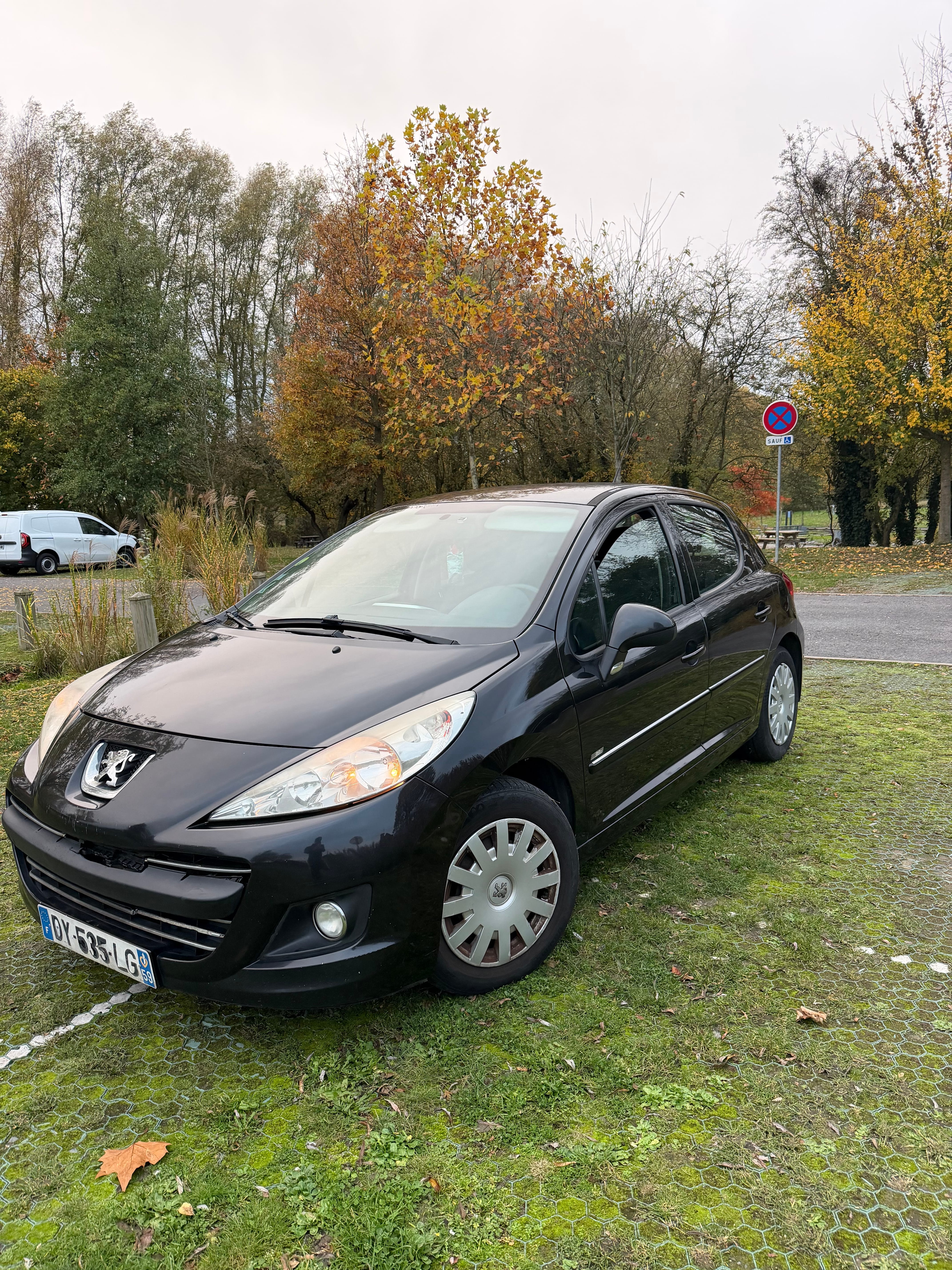 Peugeot 207, 2011, Diesel