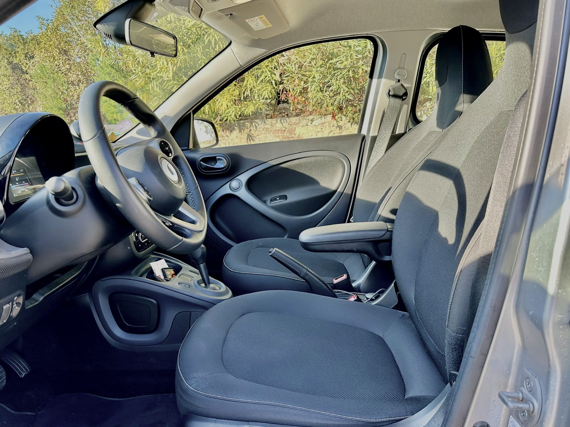 Smart Forfour avec GPS