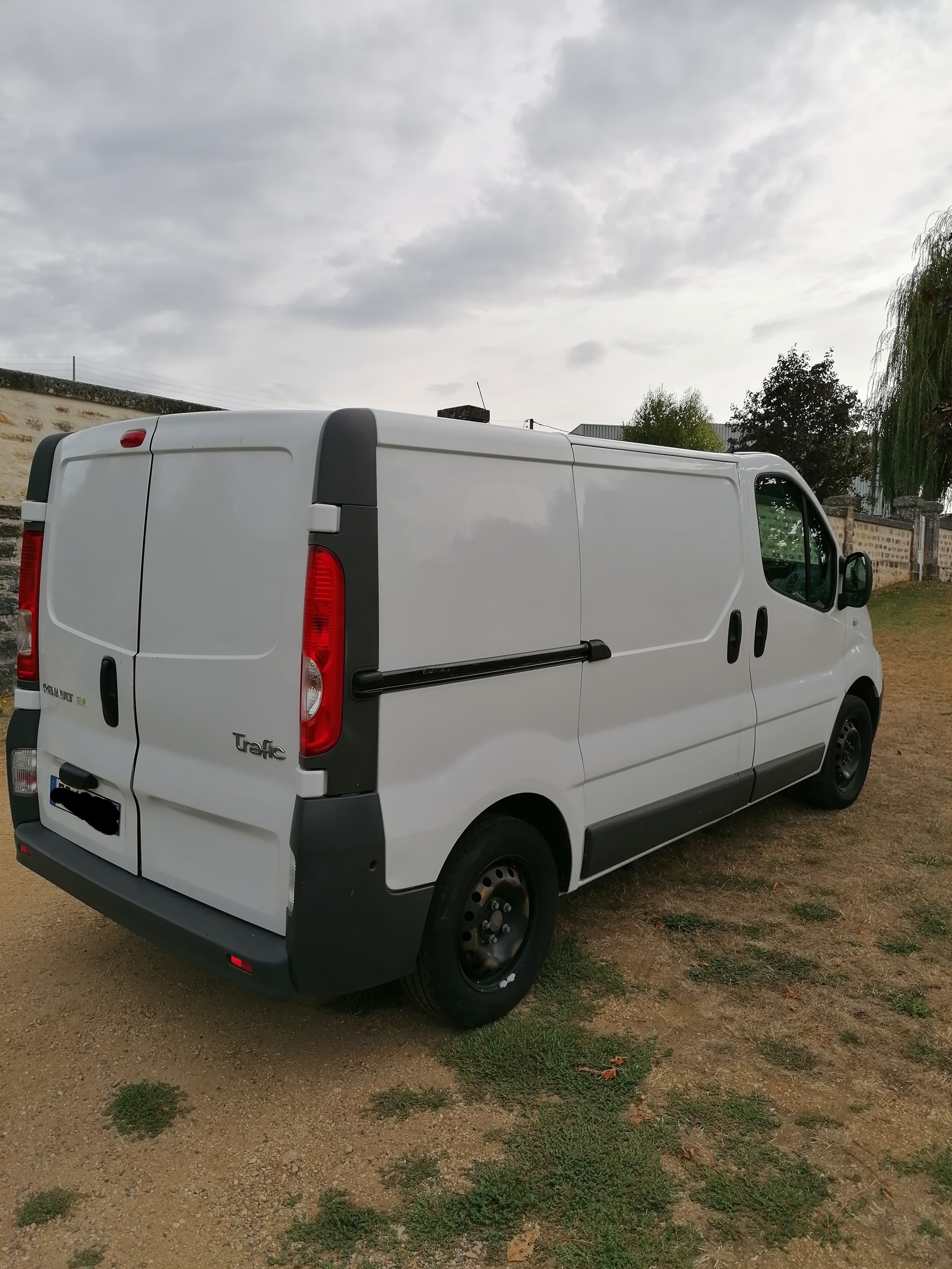 Renault Trafic 2l dci 115ch avec Climatisation