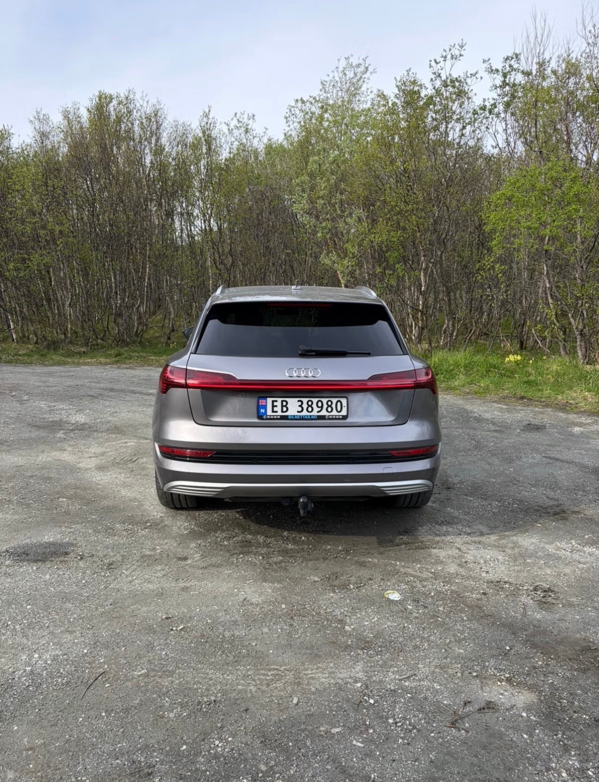 Audi e-tron with Backup camera
