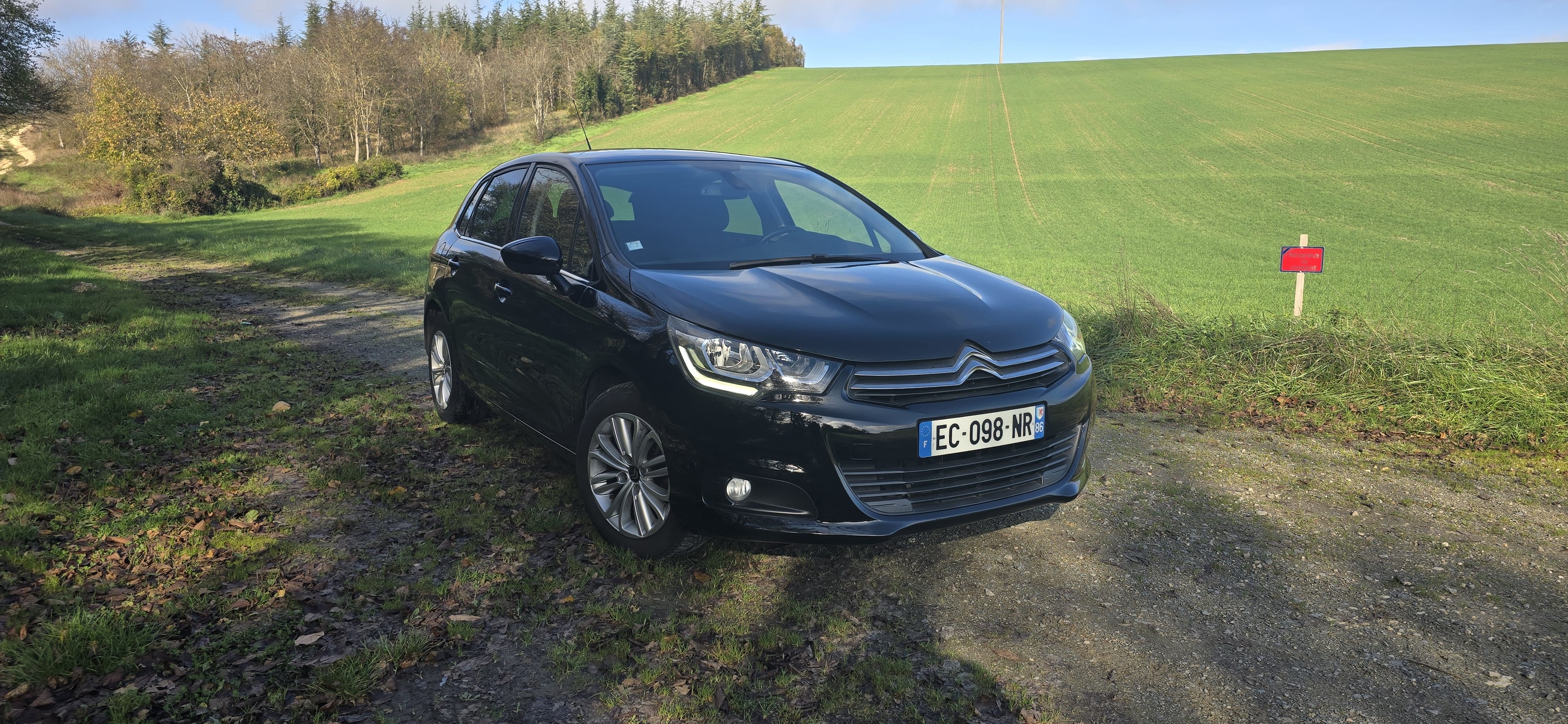 Citroen C4, 2016, Essence 98