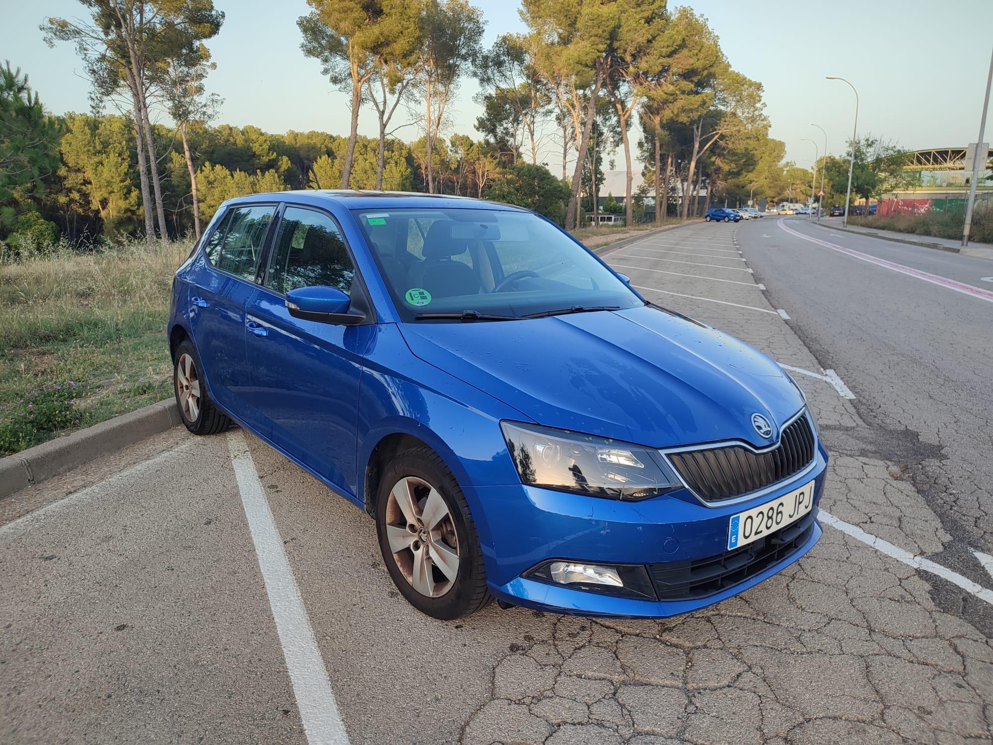 Skoda Fabia con Audio Bluetooth