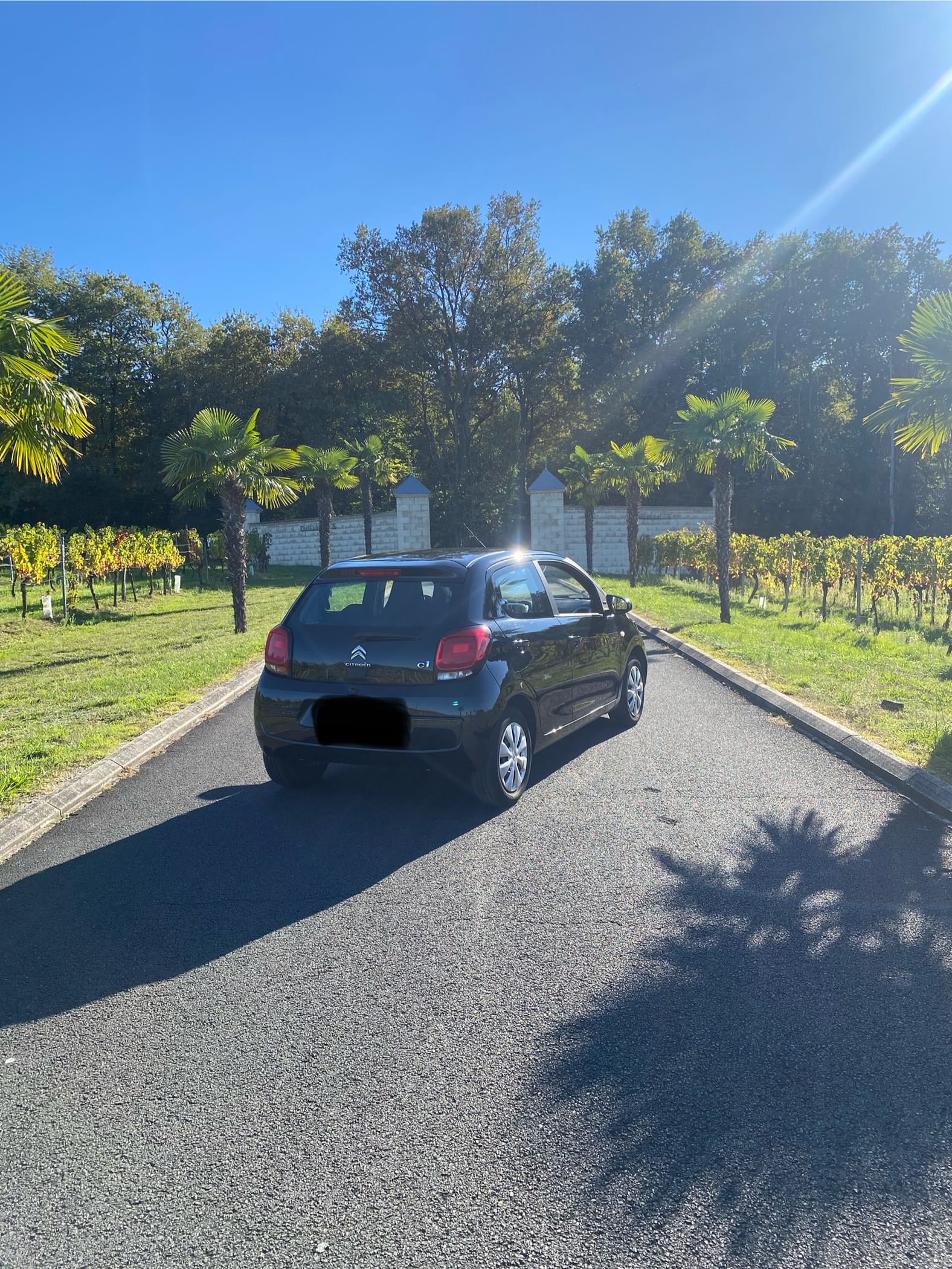 Citroen C1 II avec Régulateur de vitesse