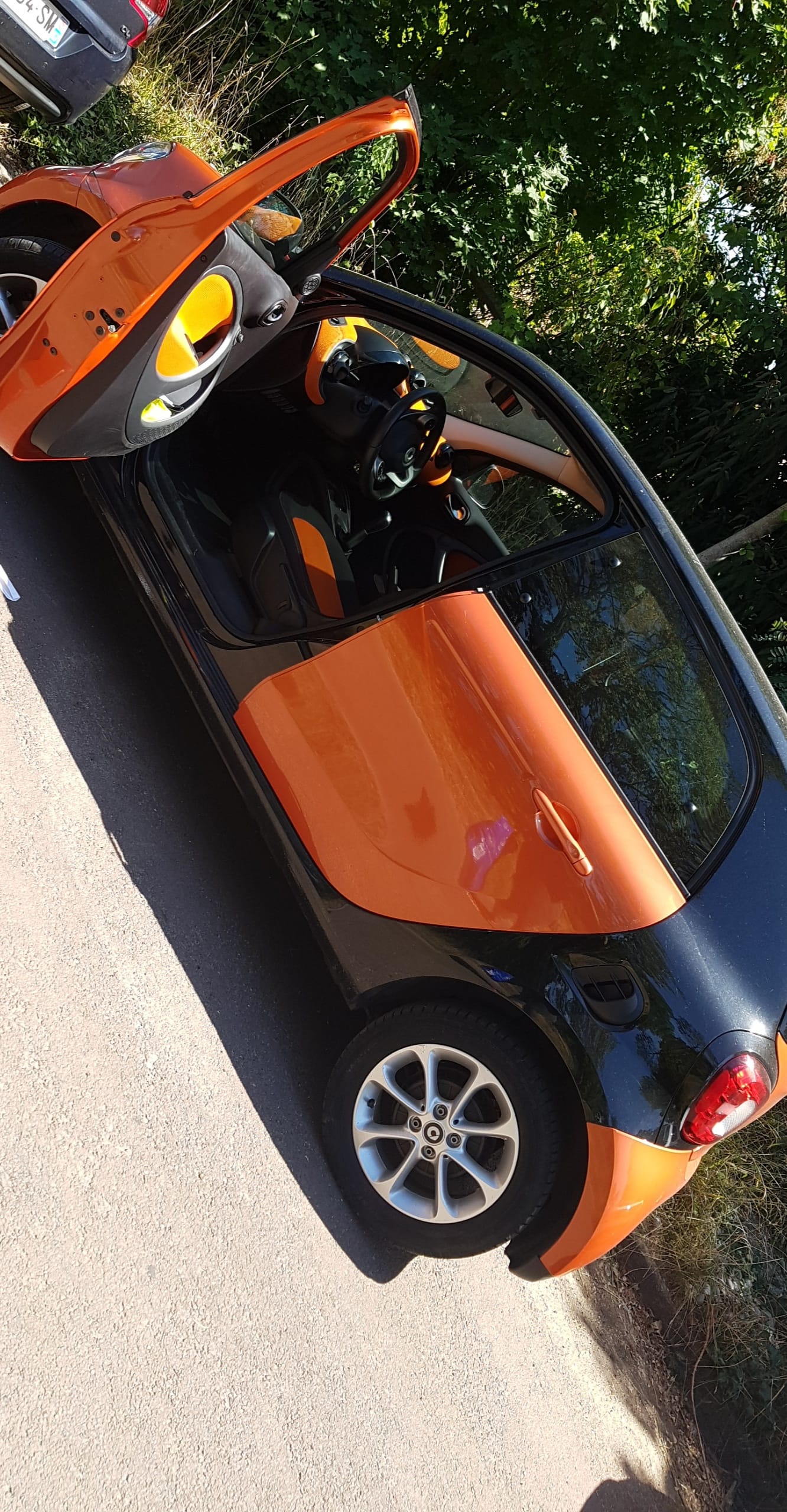 Smart Forfour avec GPS