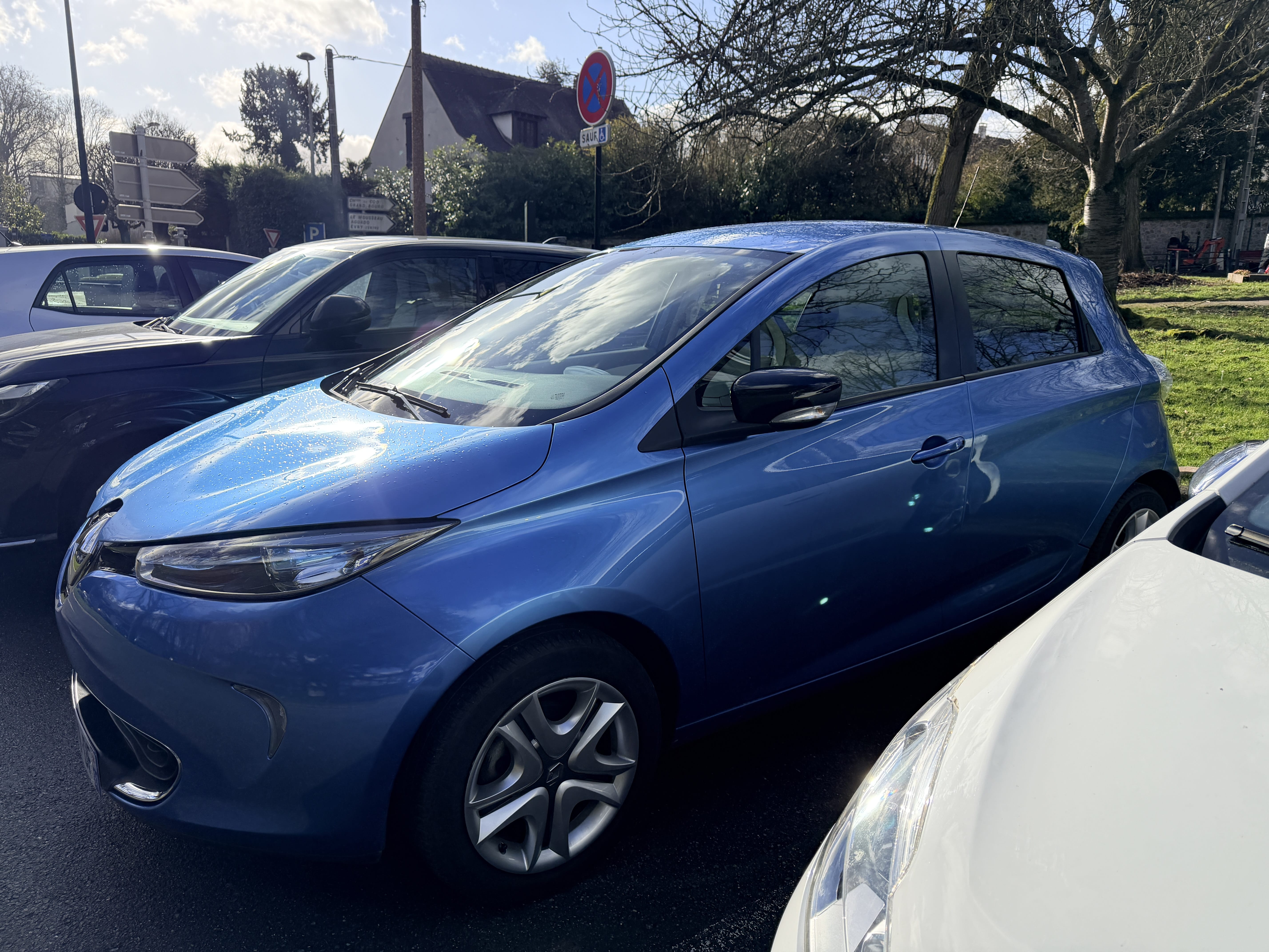 Renault ZOE Parc de petit bourg, 2019, Électrique, automatique