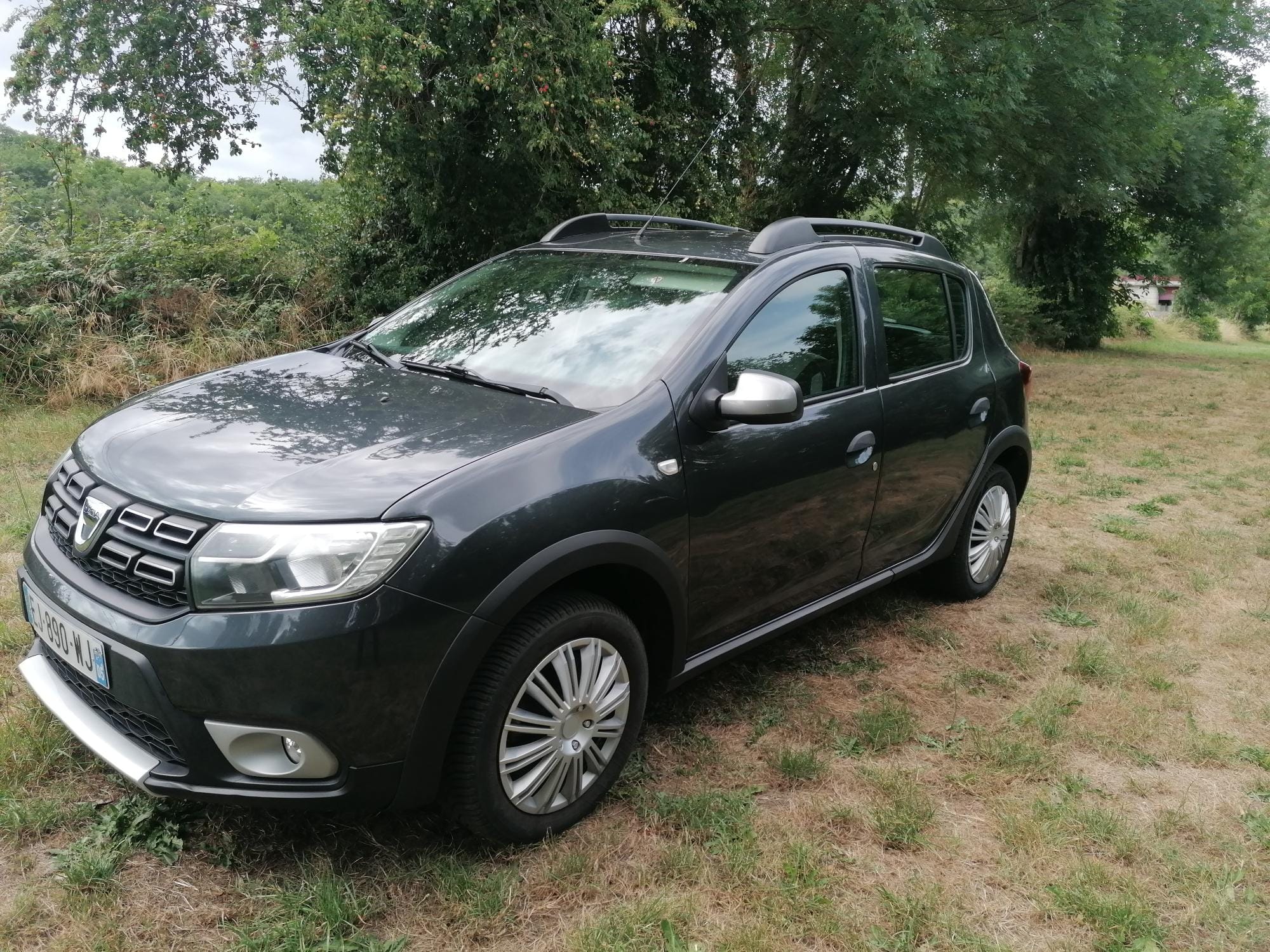 Dacia Sandero Stepway, 2017, Essence 98