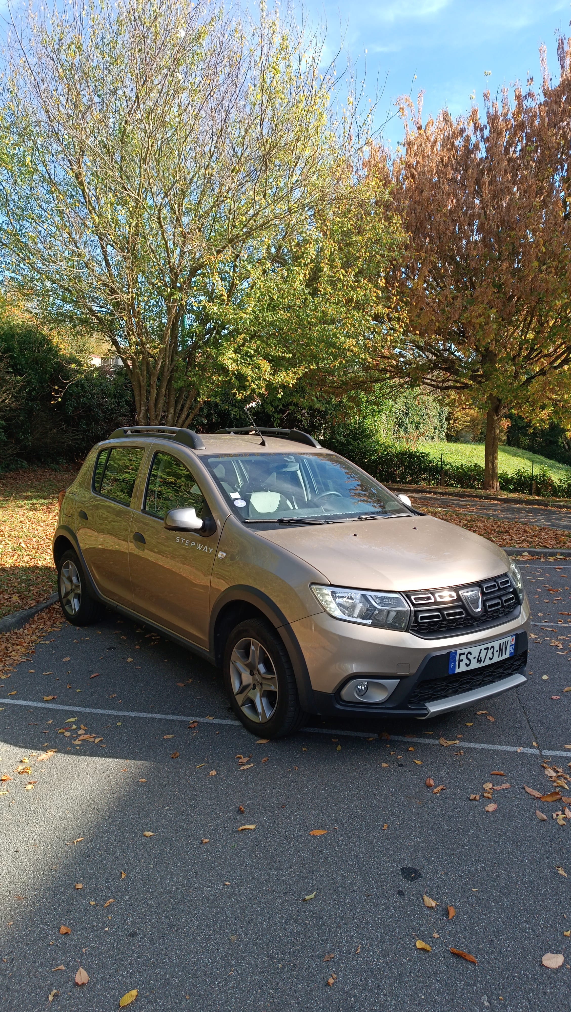 Dacia Sandero Stepway éthanol / E85, 2020, Essence 95